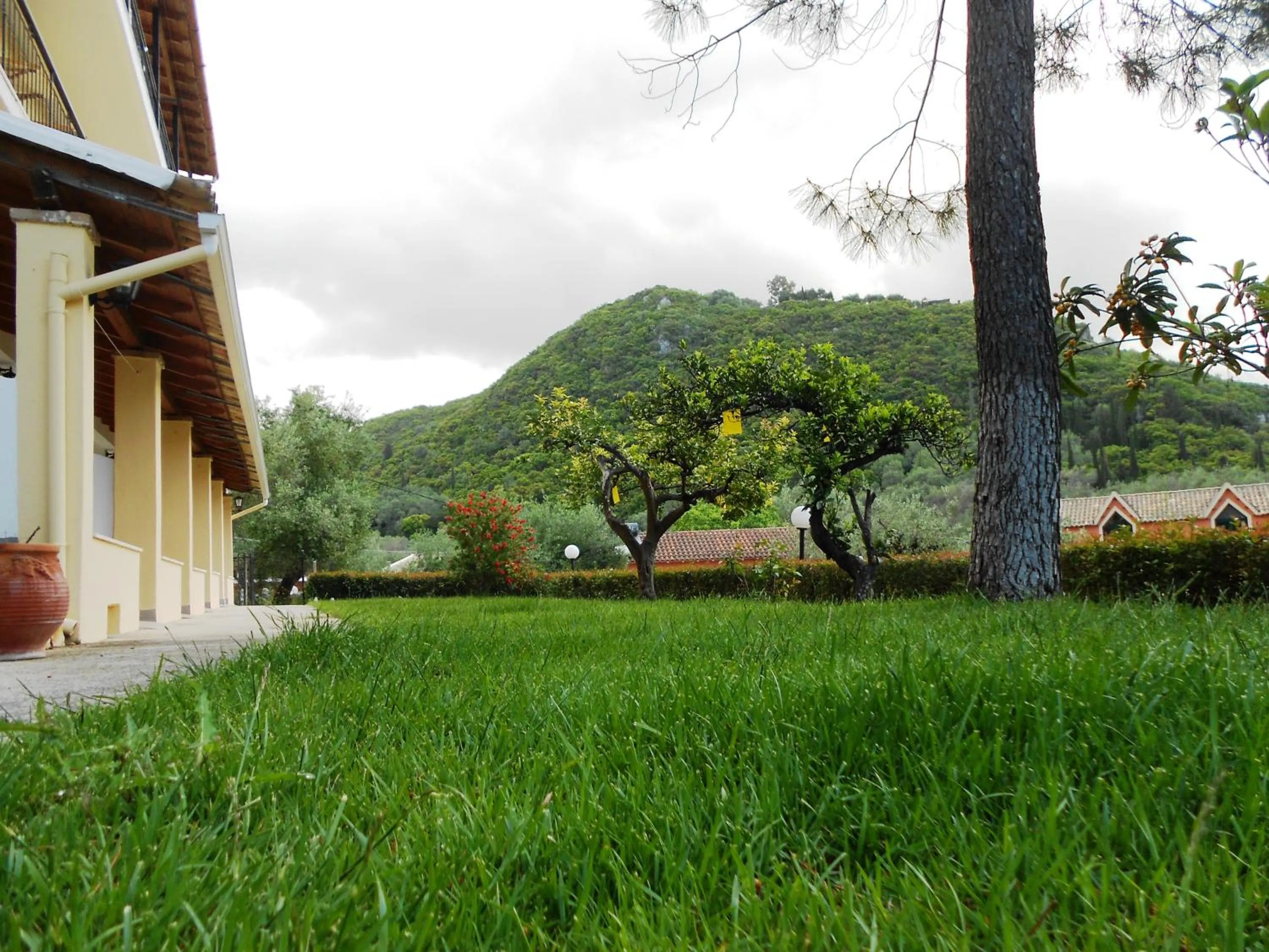 Garden in Anemona Studios