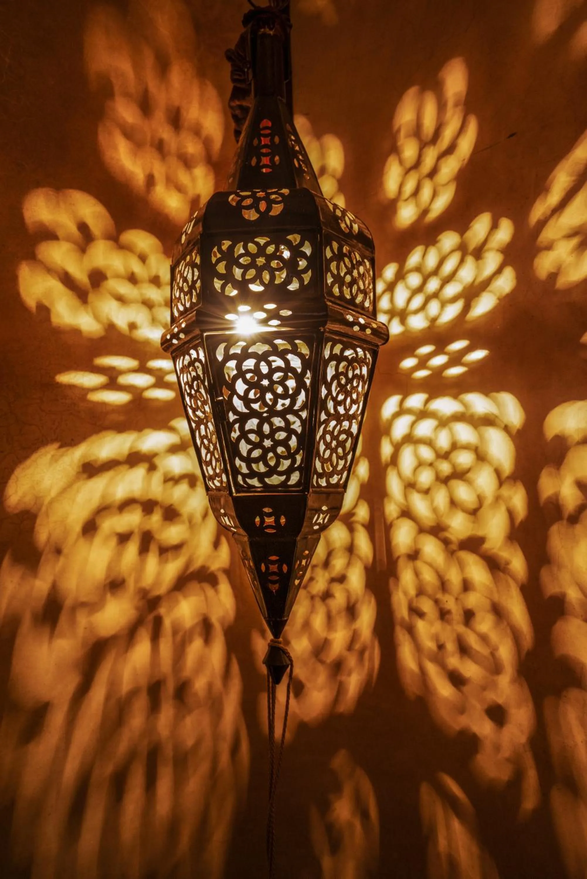 Library in Riad Anabel