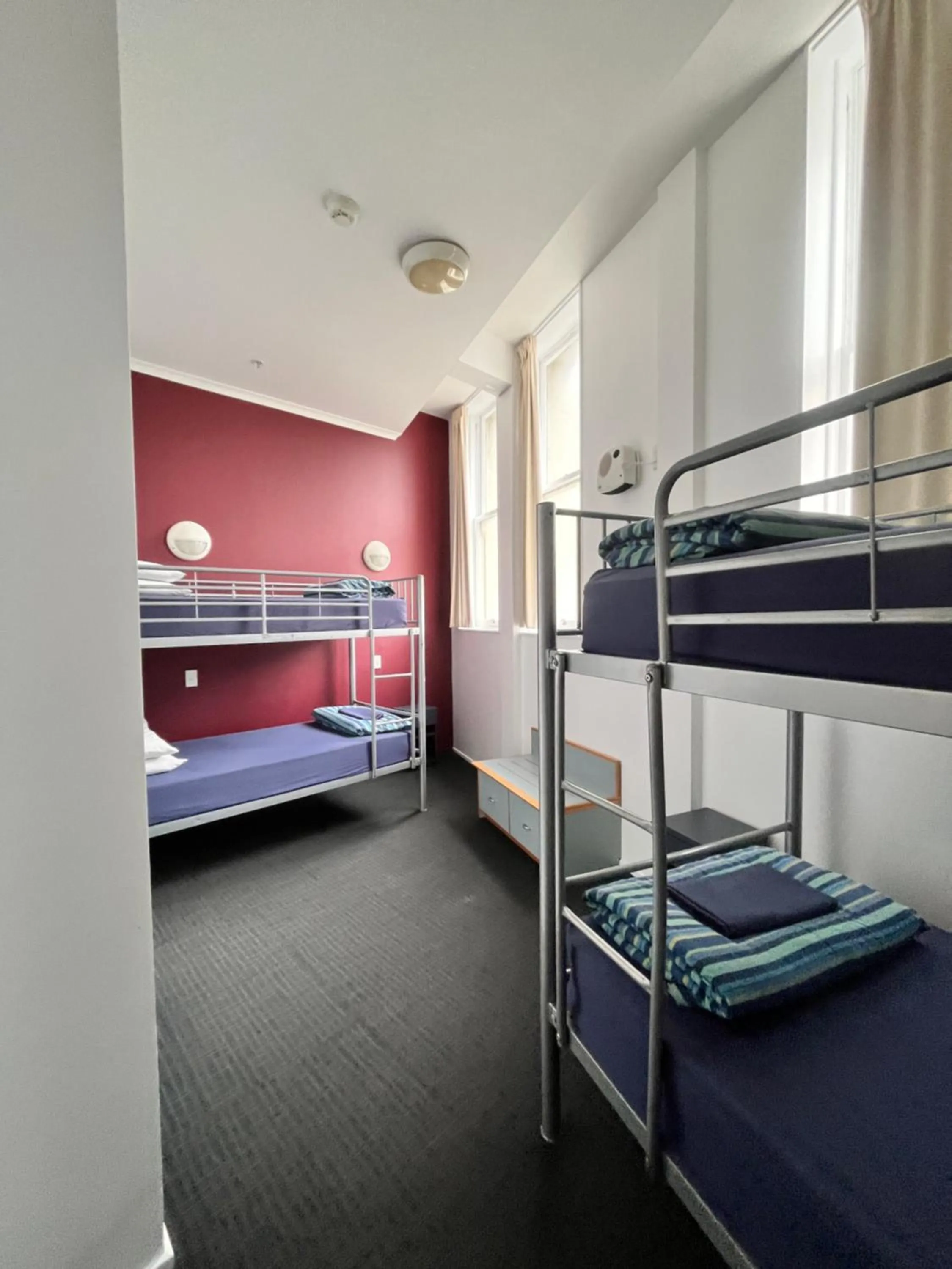 bunk bed, Bed in Nomads Capital Backpackers - Wellington