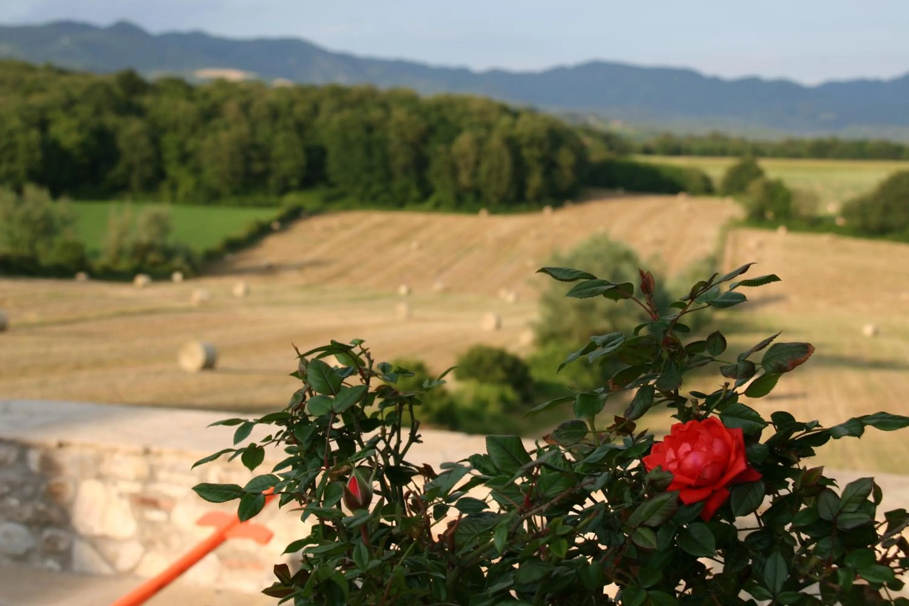 View (from property/room) in Il Nido di Gabbiano