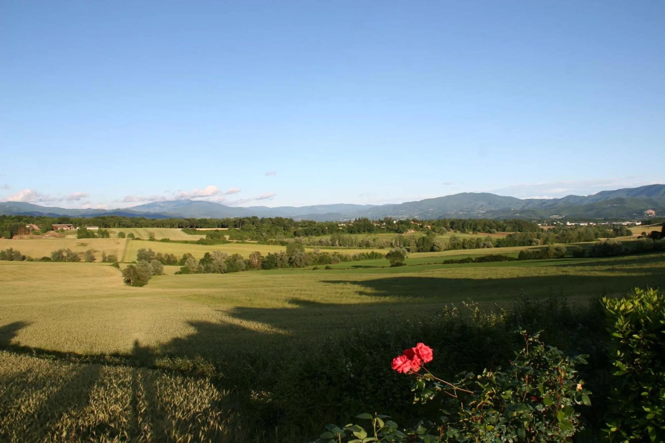 View (from property/room) in Il Nido di Gabbiano