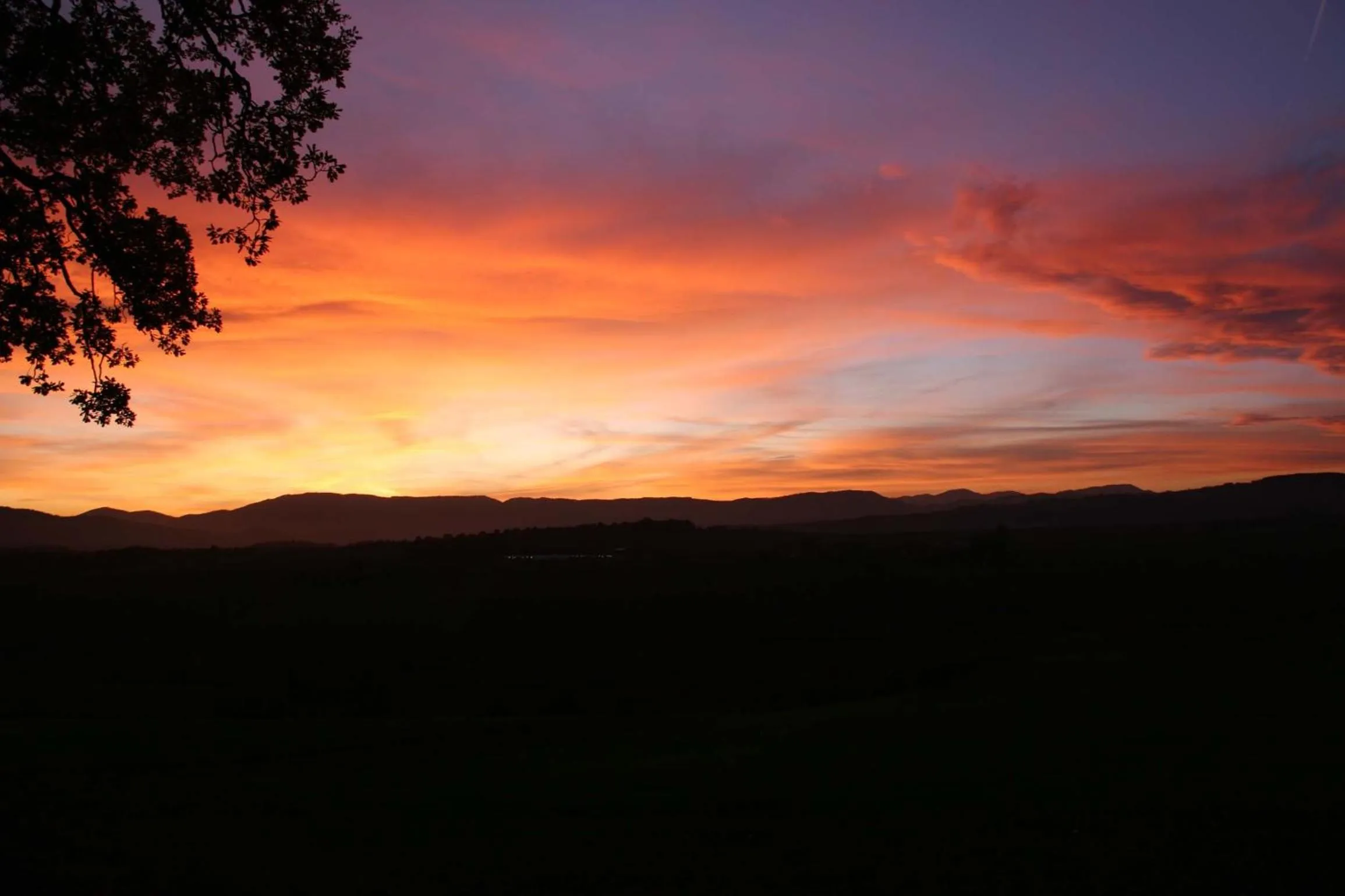Garden in Il Nido di Gabbiano