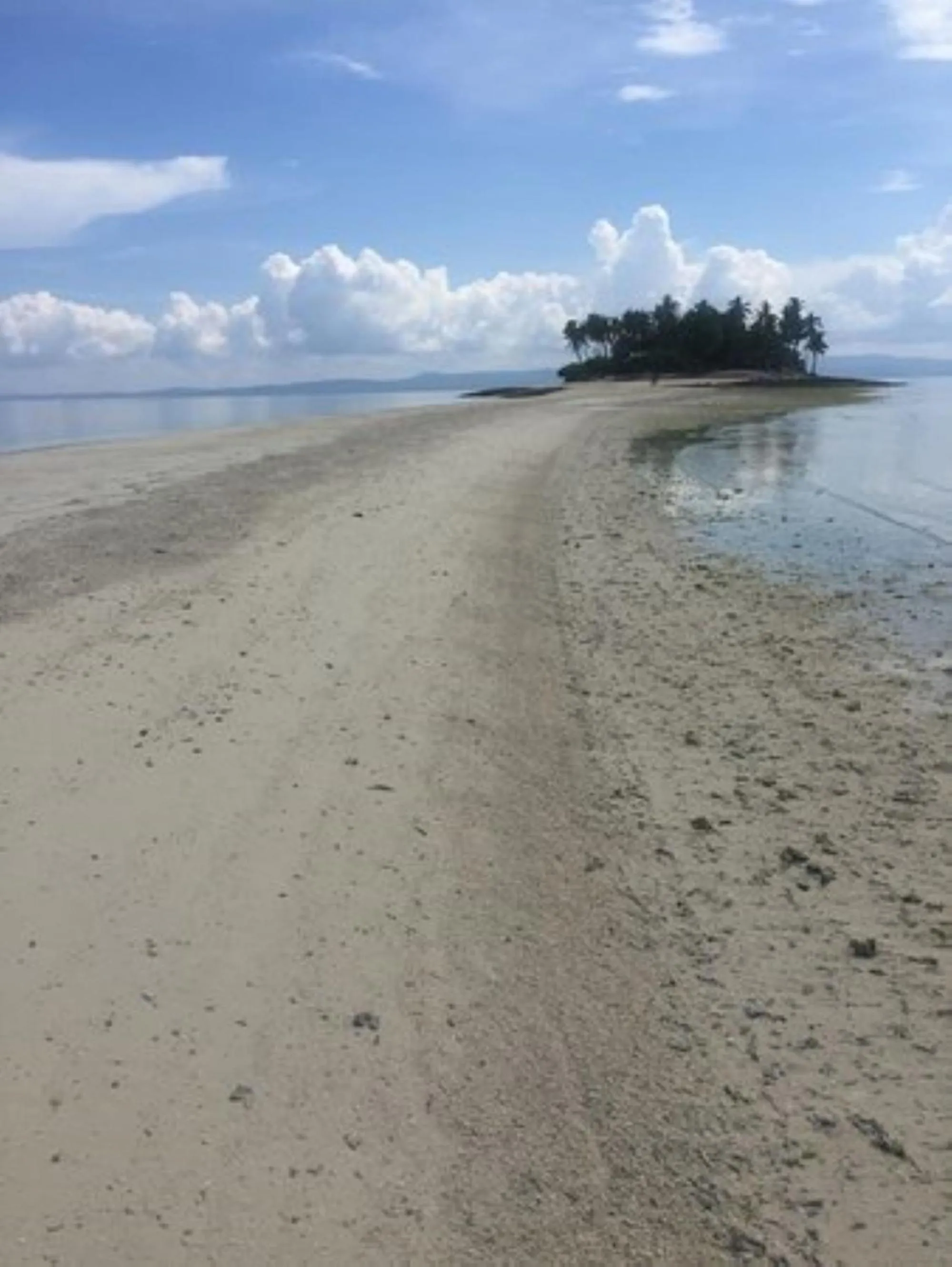 Beach in RedDoorz at Shandy's Transient House Palompon