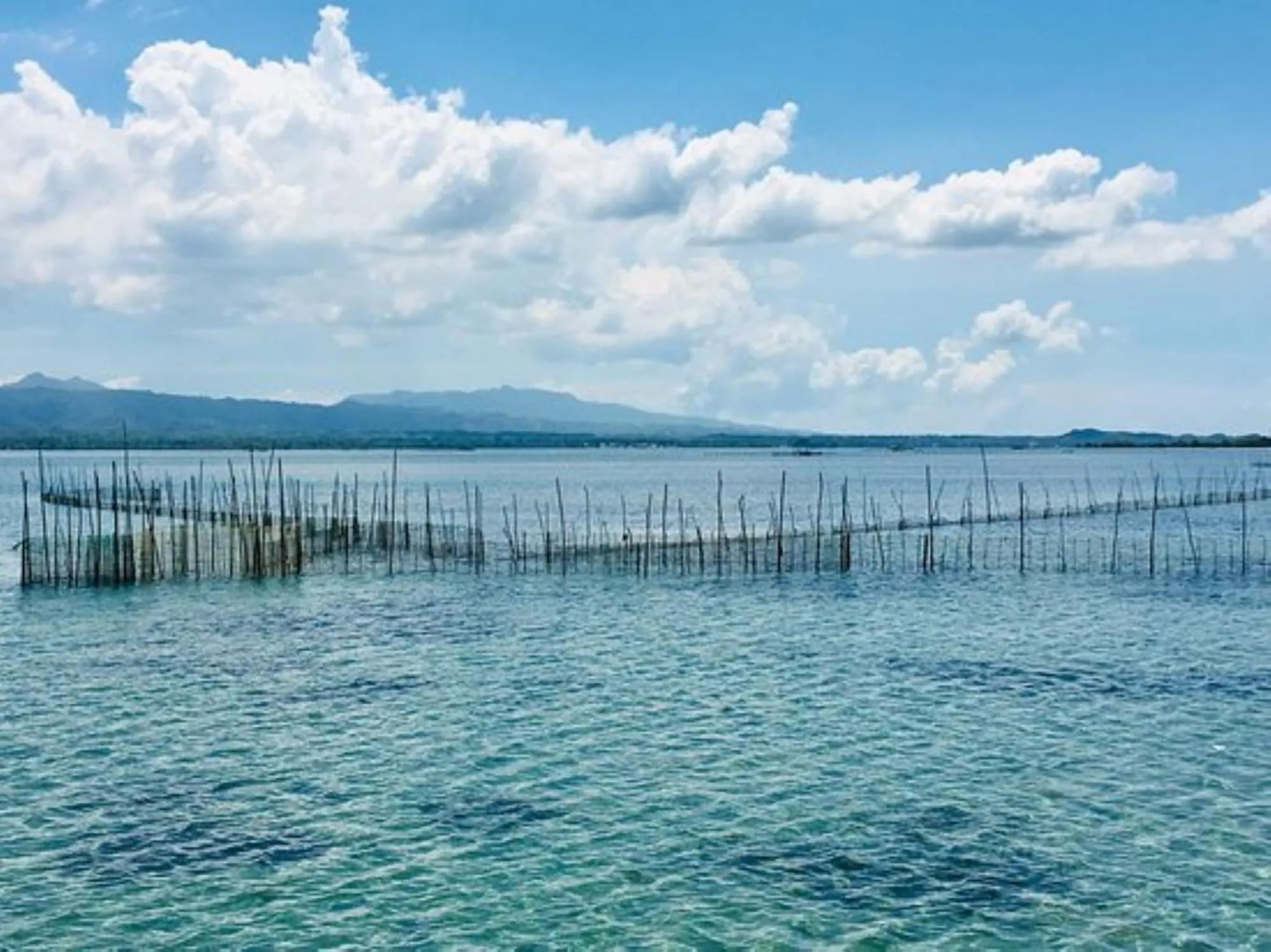 Nearby landmark in RedDoorz at Shandy's Transient House Palompon