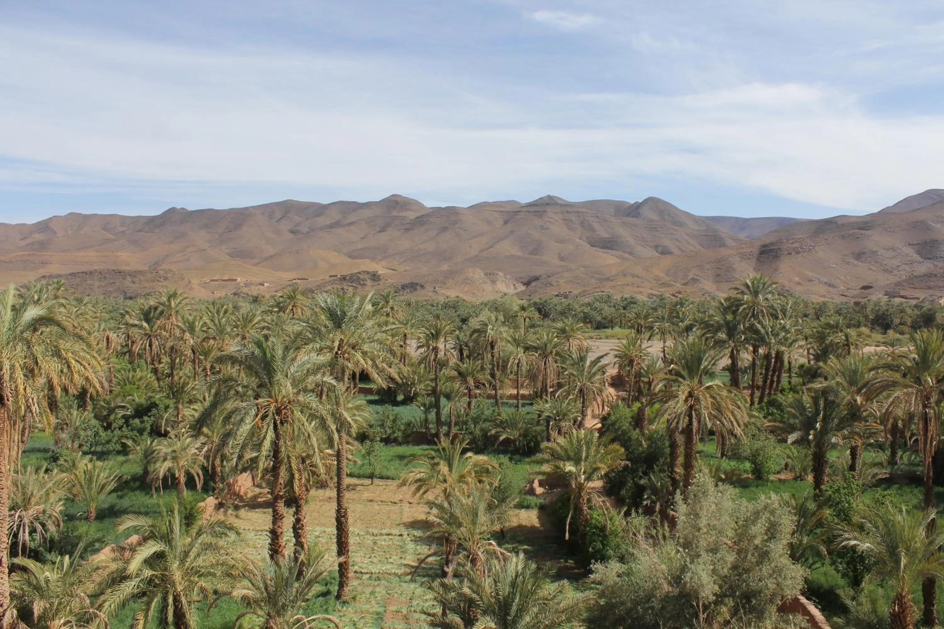 Nearby landmark in Chez Yacob kasbah