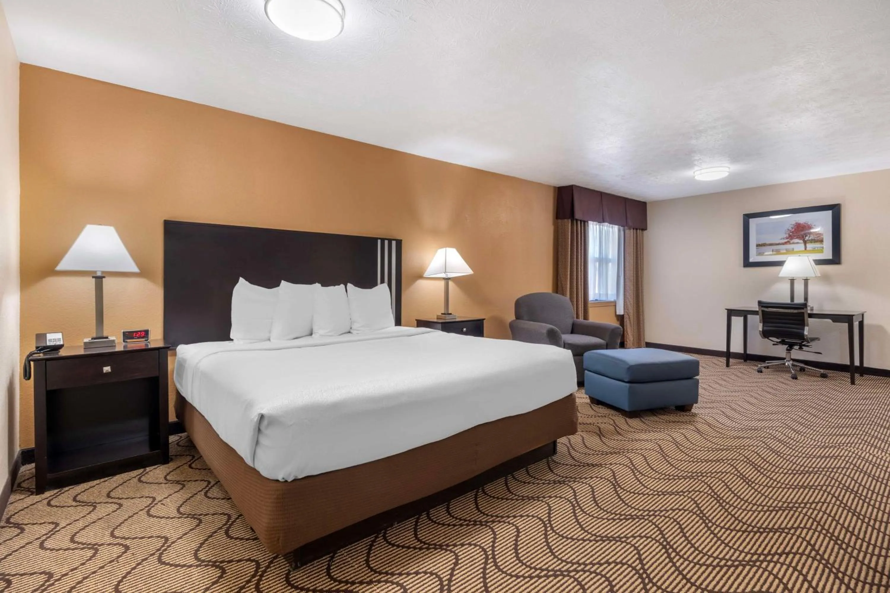 Bedroom, Bed in Best Western Campbellsville Inn