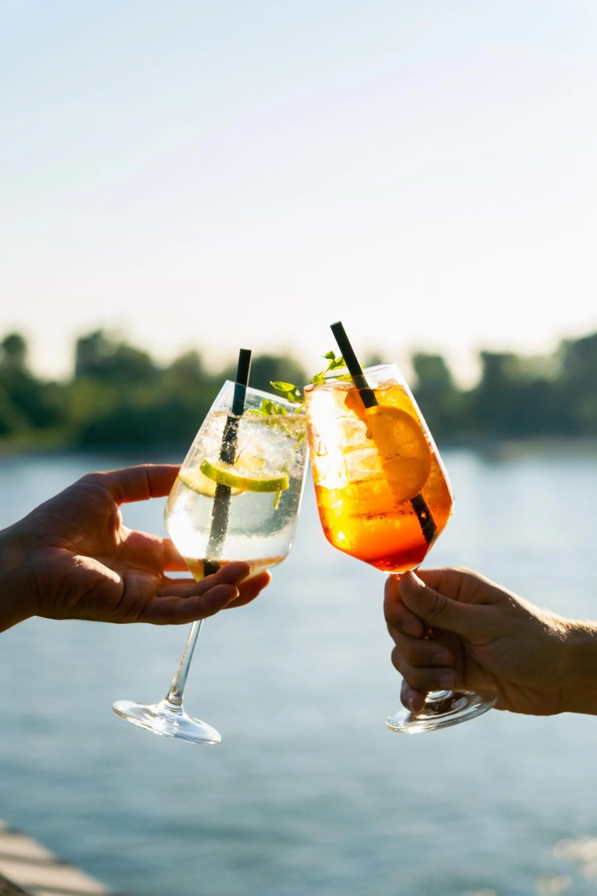 Food and drinks in Schnellenburg