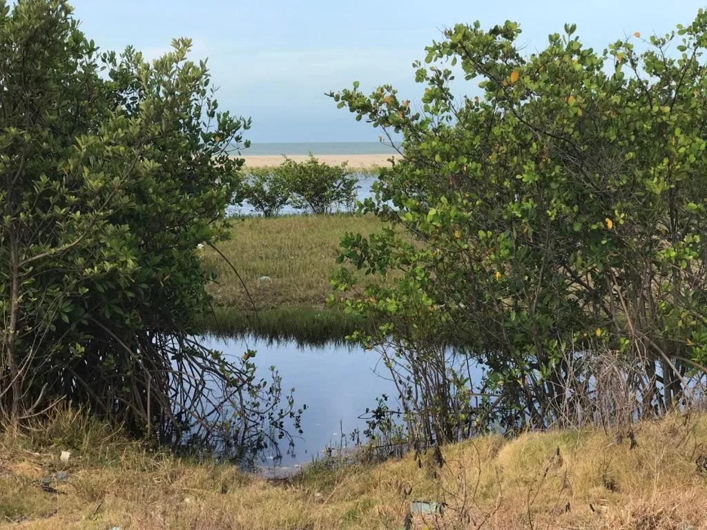 Pousada & Food 3 Abelhas