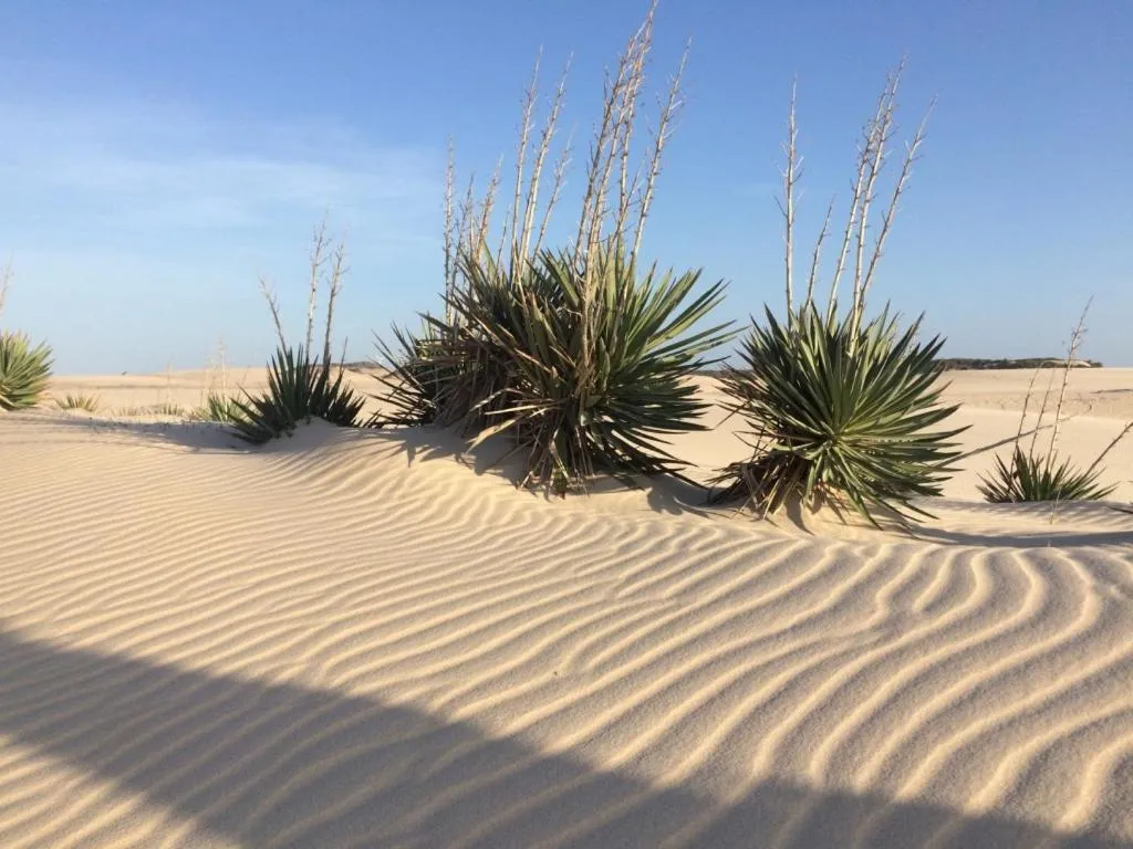 Pousada & Food 3 Abelhas