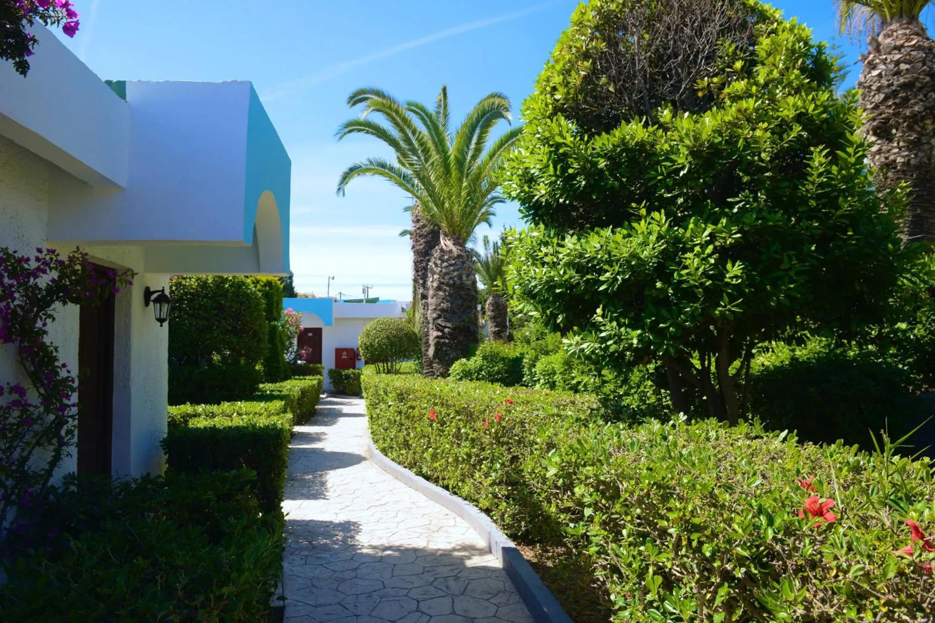 Garden in Blue Horizon