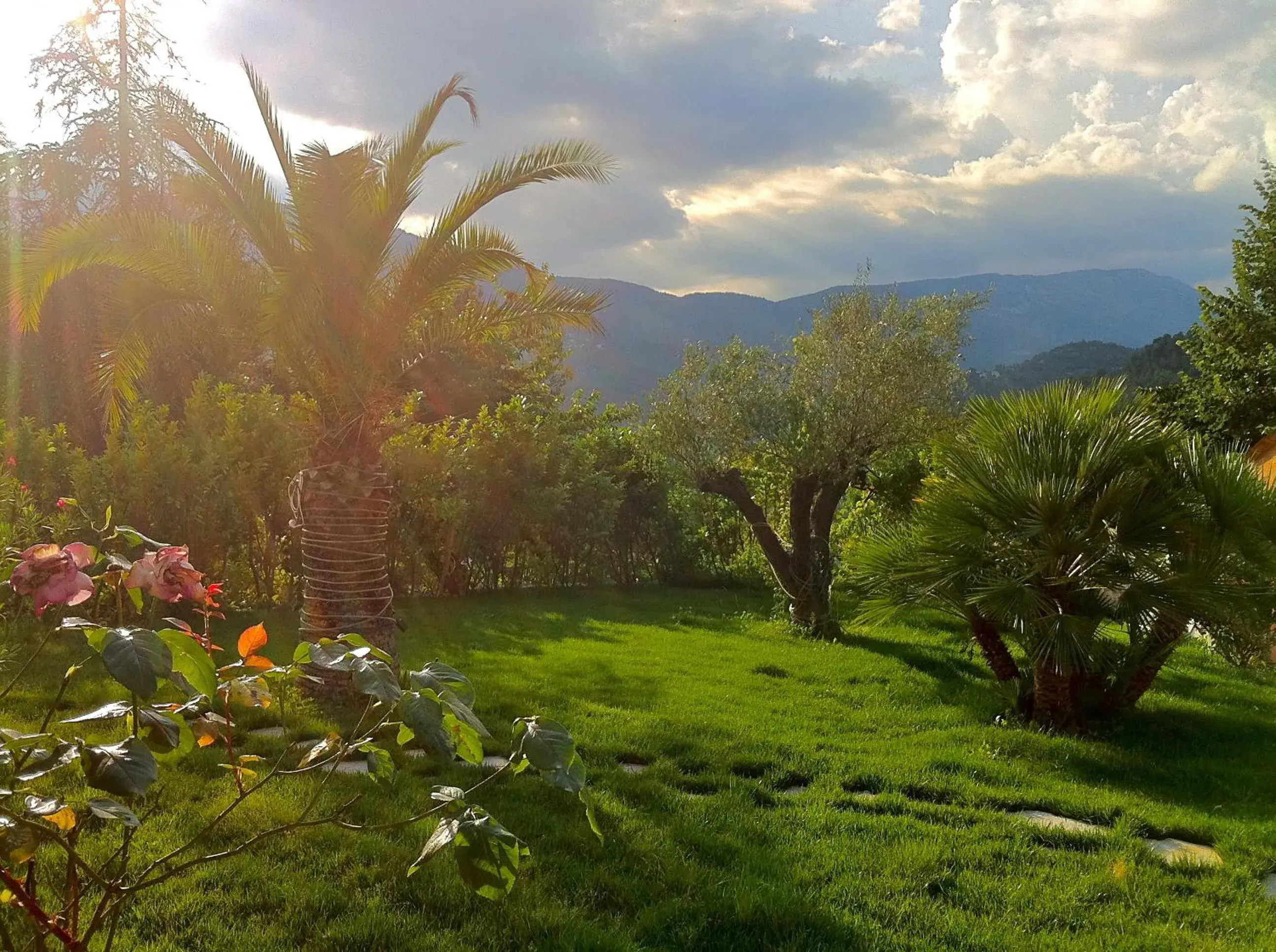 Garden in Villa Cyriel