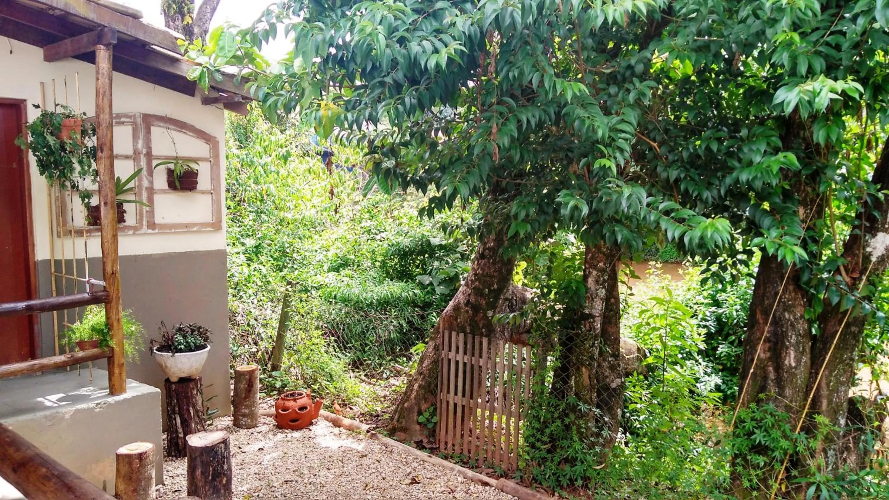 Garden in Hotel Santiago