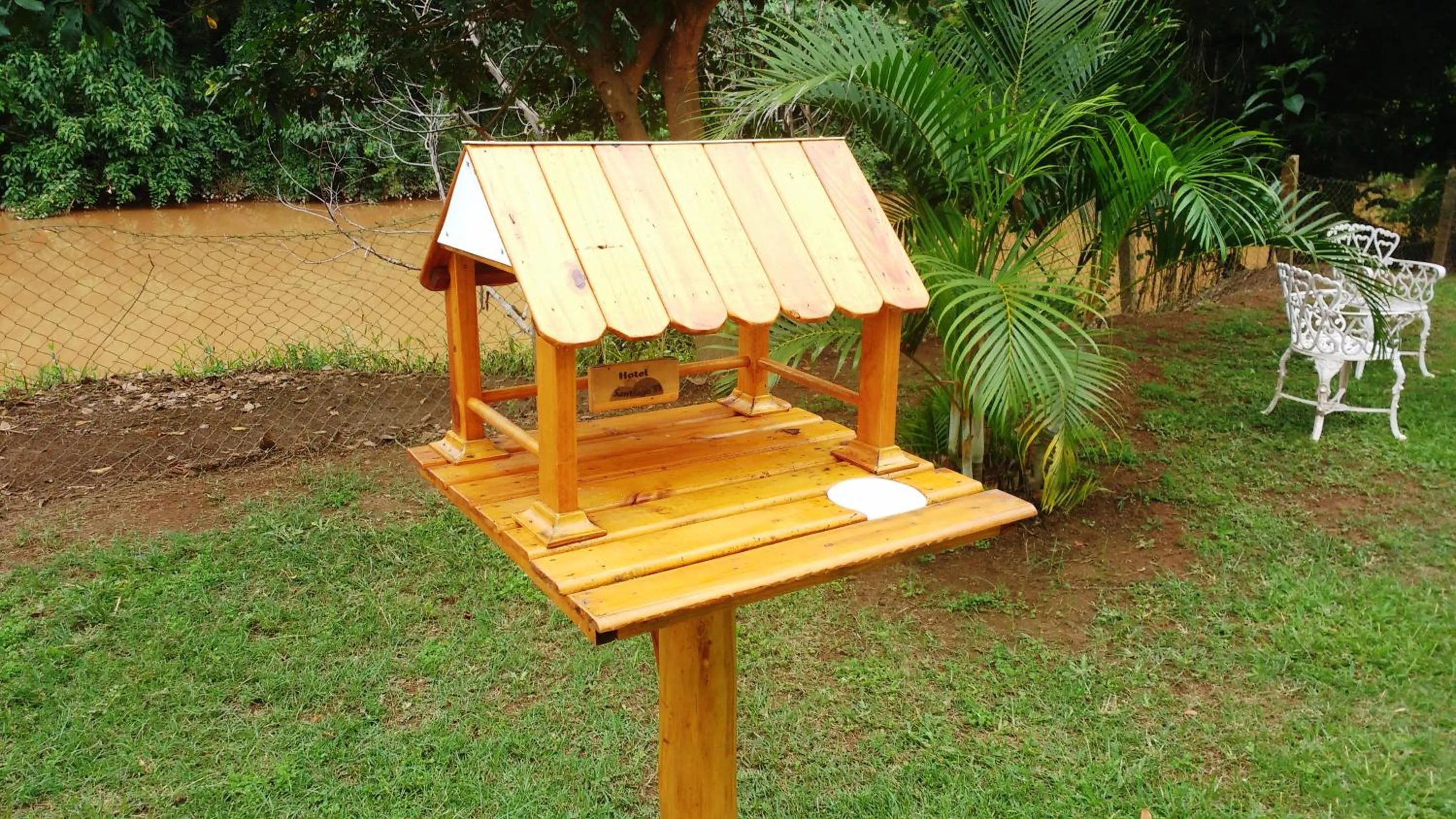 Garden in Hotel Santiago