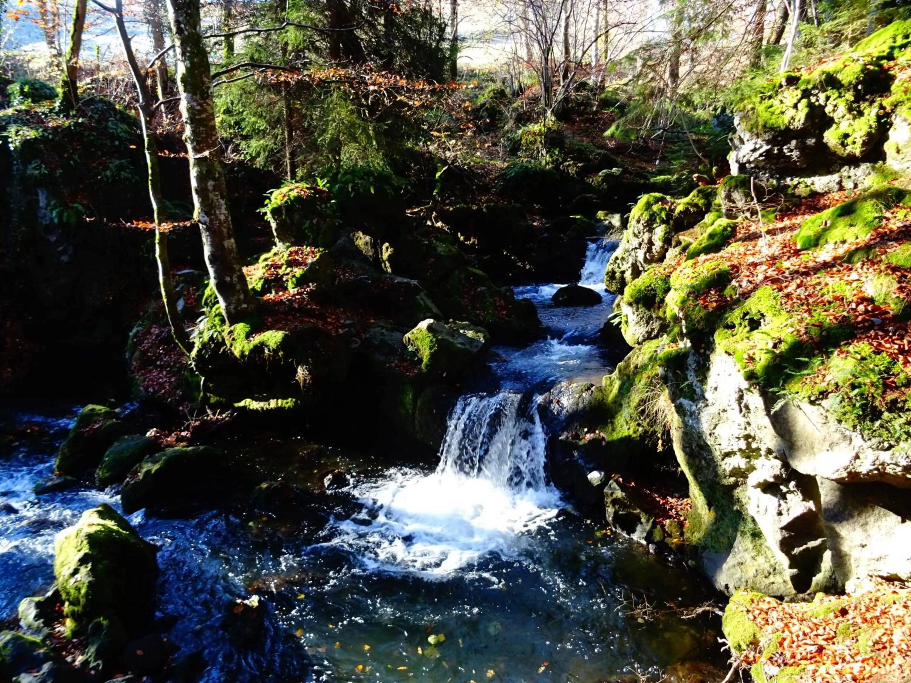 Natural landscape in Le Pont du Roy
