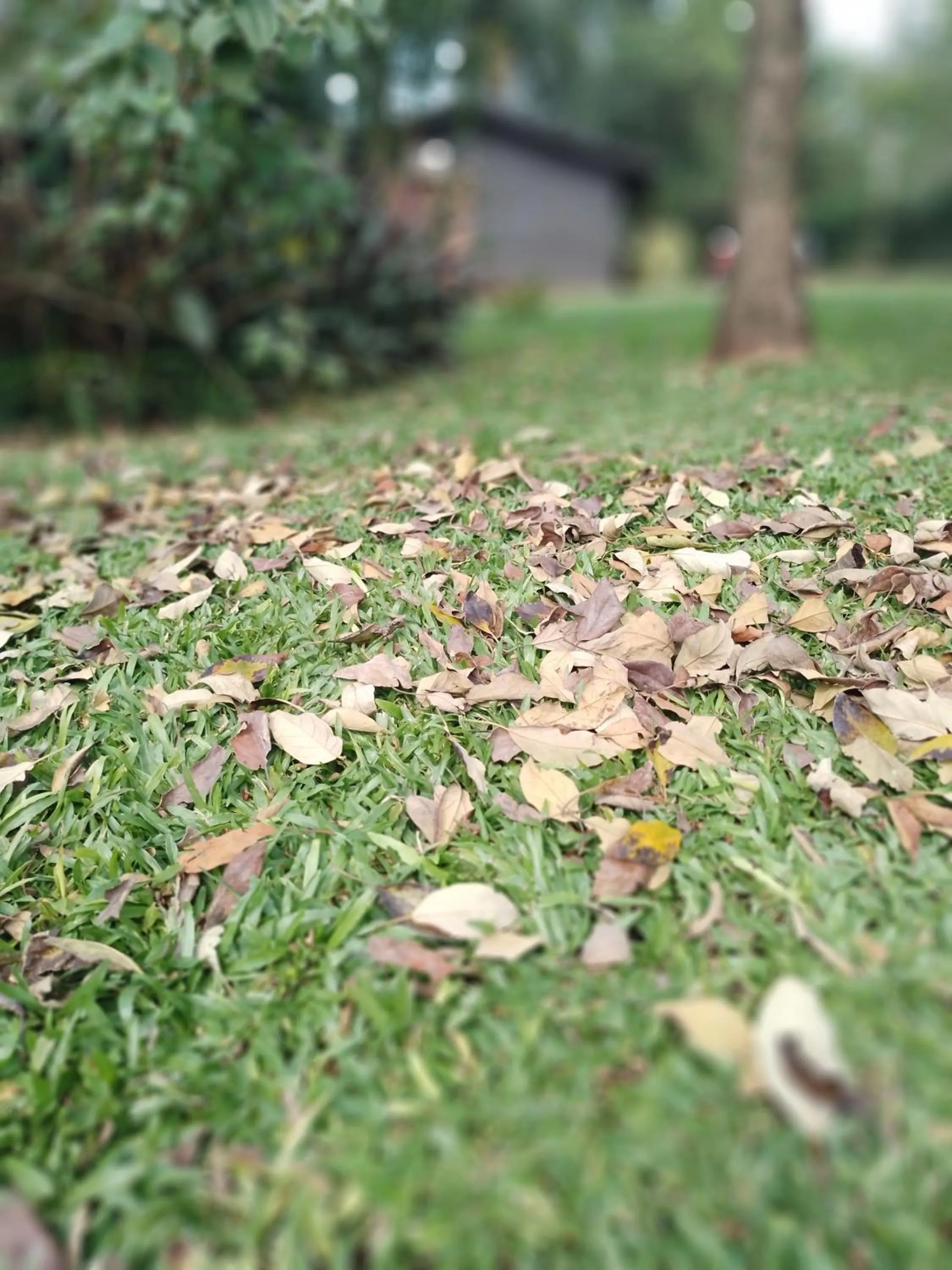 Garden view in El Descanso Iguazú by DOT Cabana
