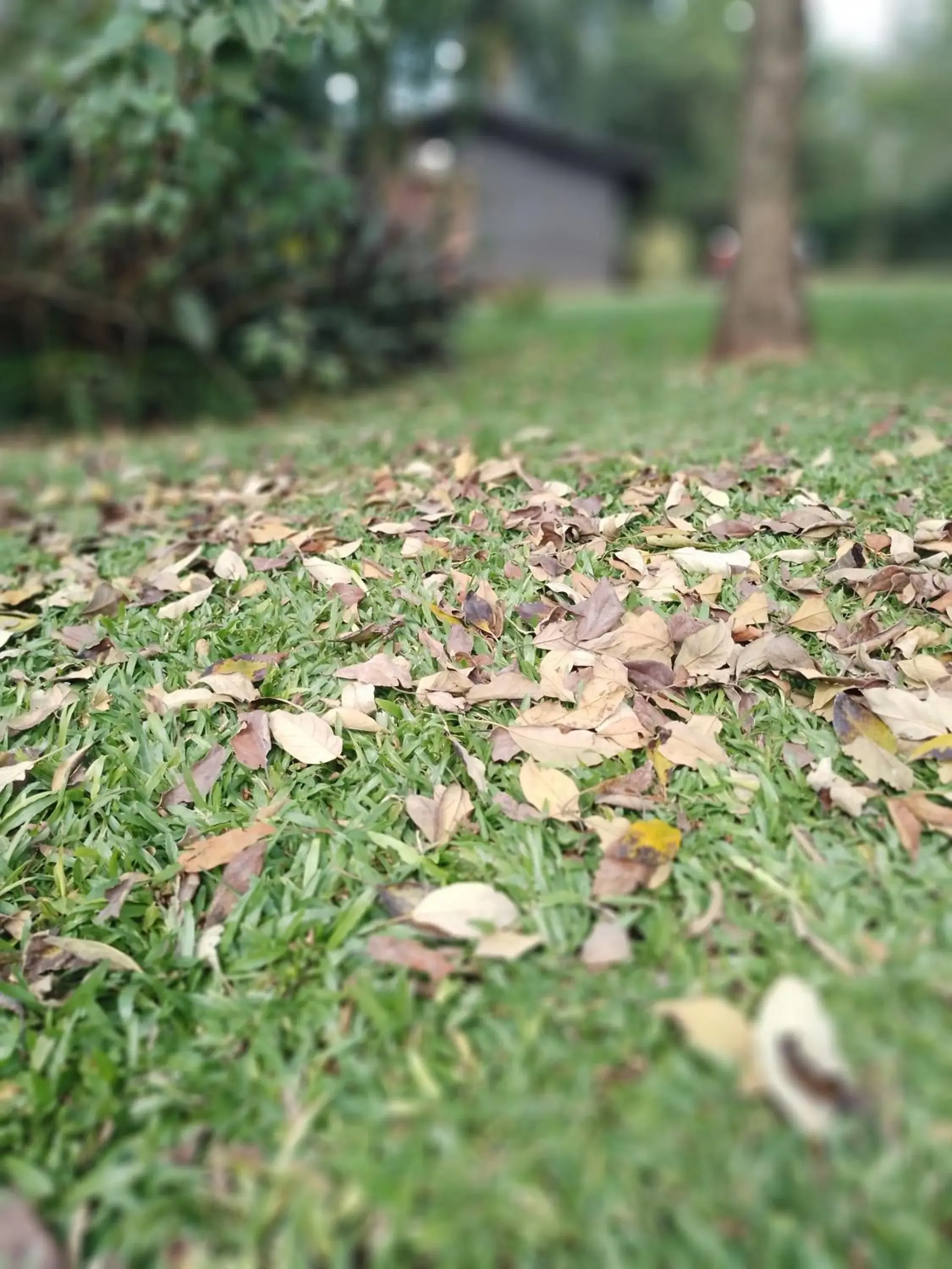 Garden view in El Descanso Iguazú by DOT Cabana Garden view in El Descanso Iguazú by DOT Cabana
