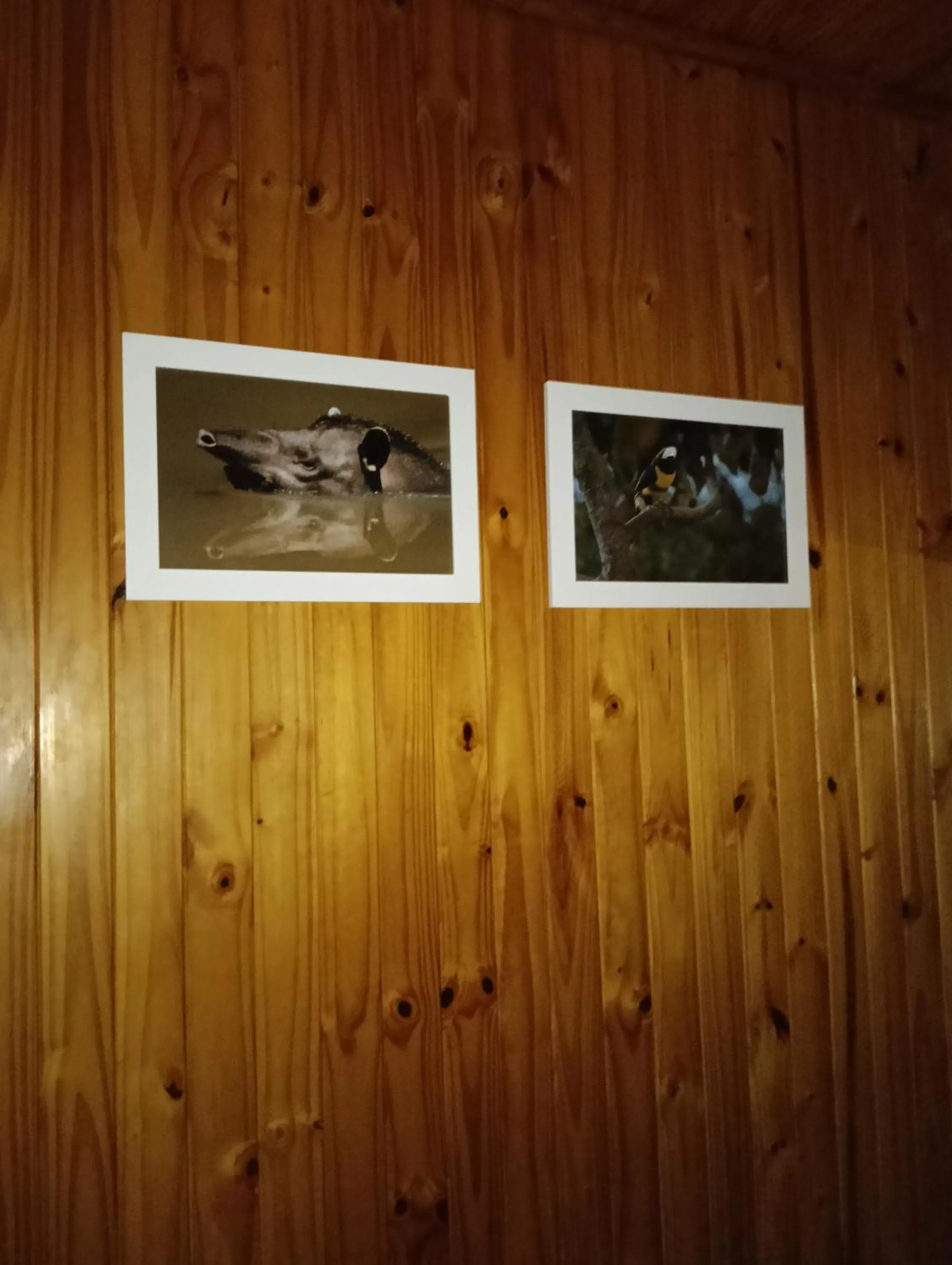 Decorative detail in El Descanso Iguazú by DOT Cabana