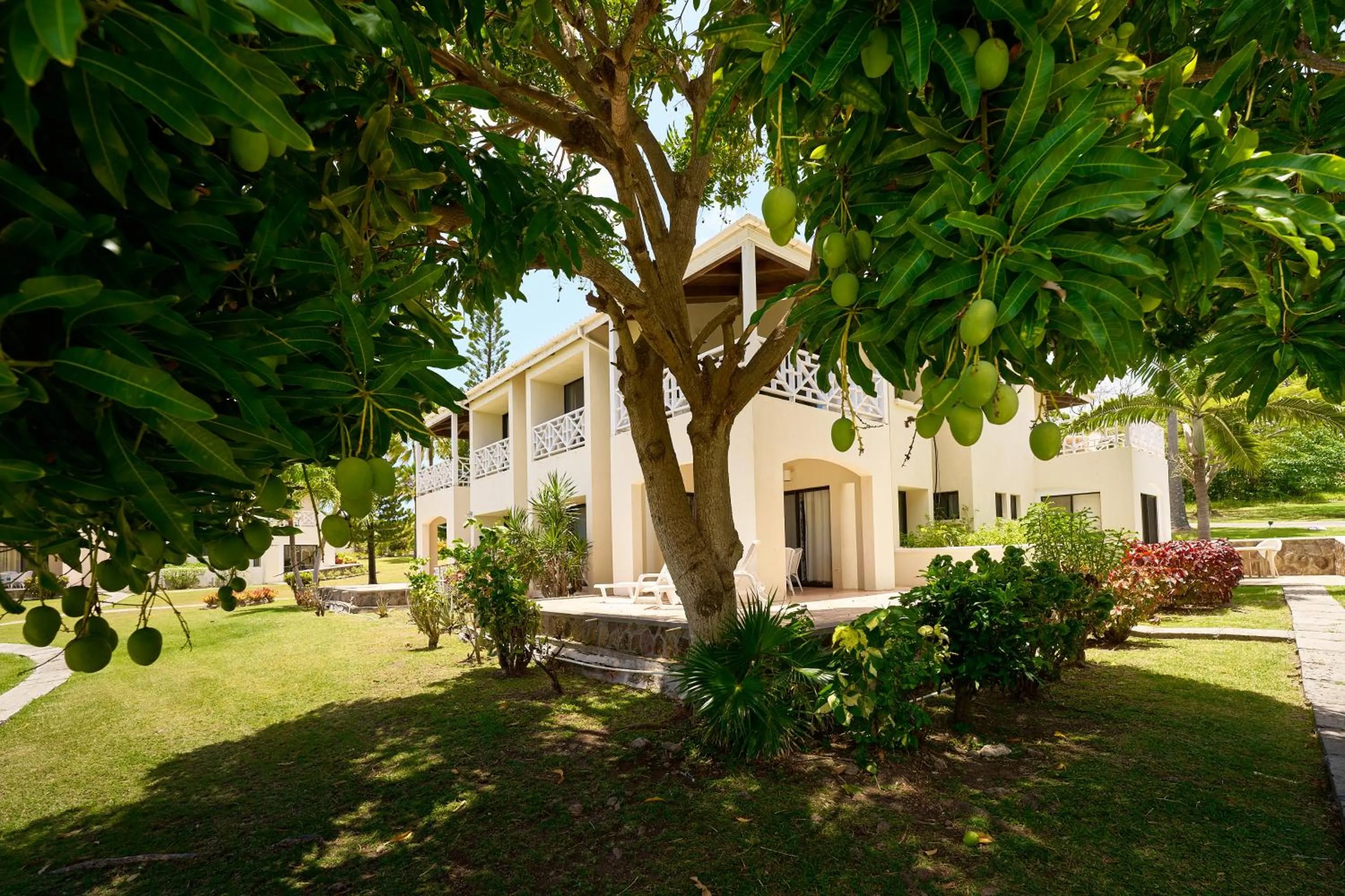 Property building in Mount Nevis Hotel