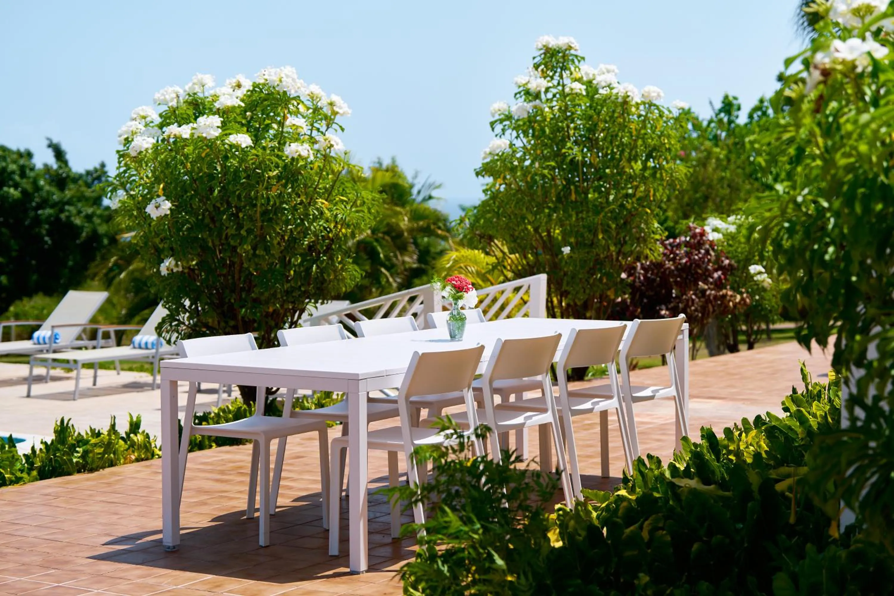 Restaurant/places to eat in Mount Nevis Hotel