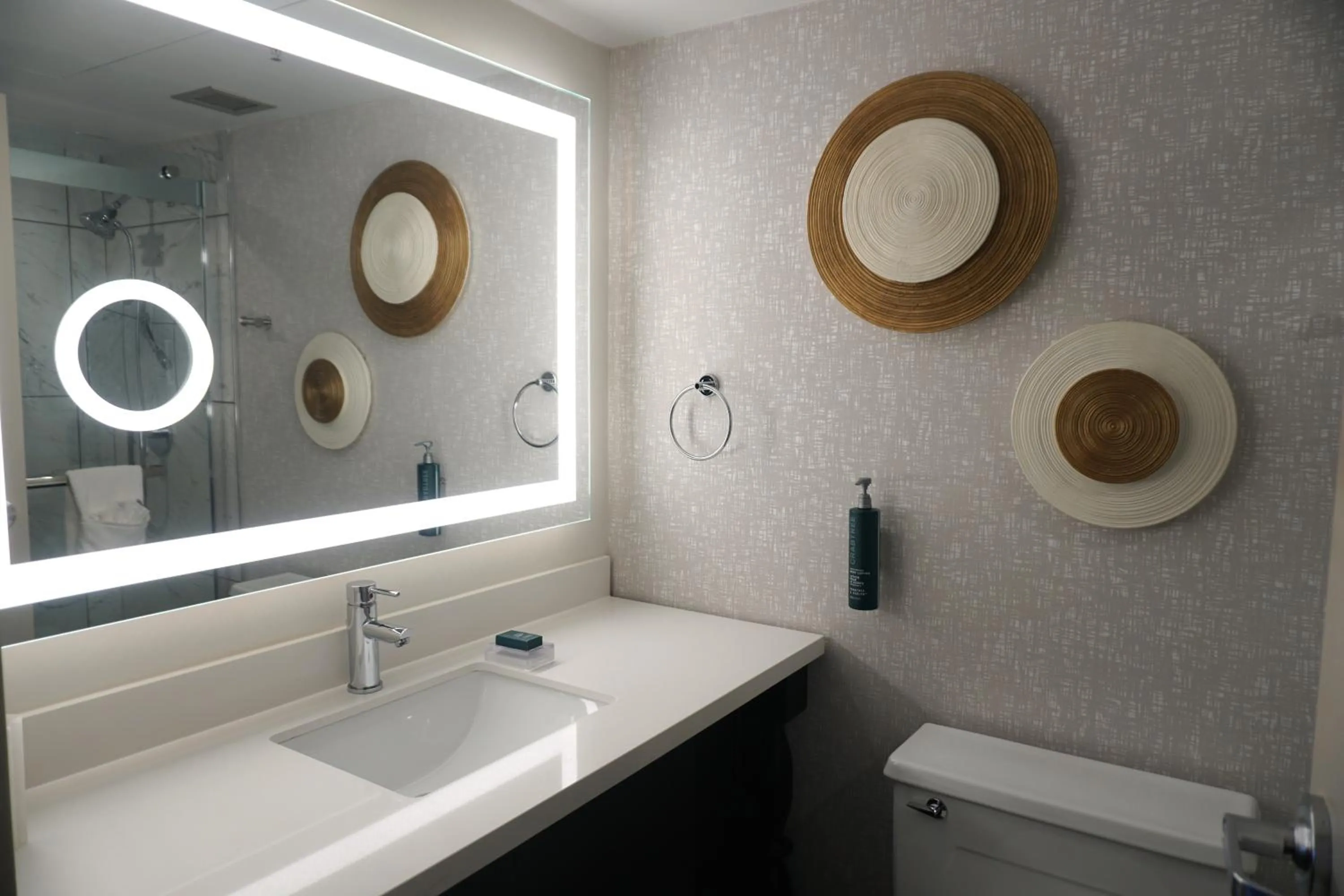 Bathroom in Hilton Appleton Paper Valley