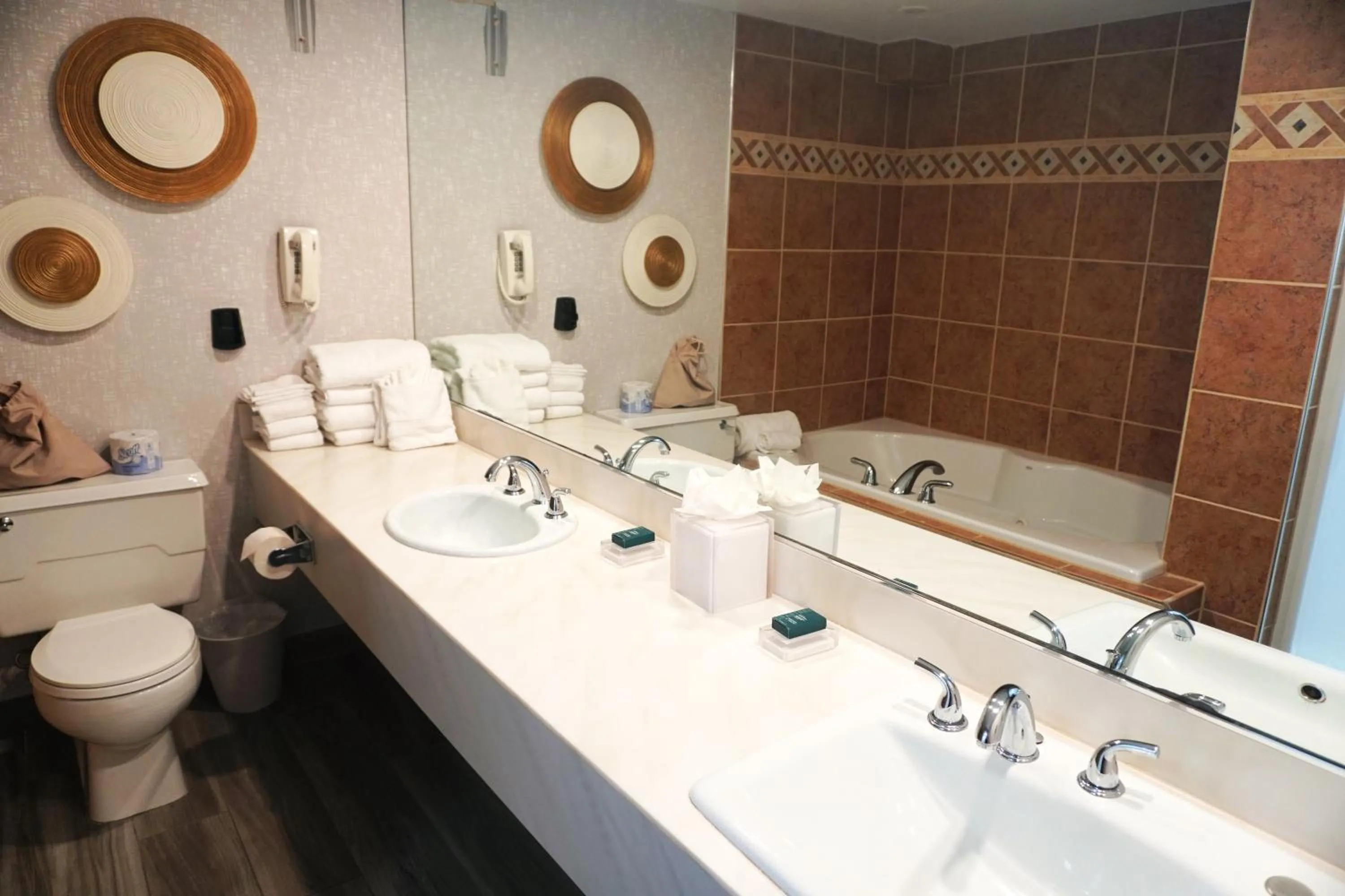 Hilton Appleton Paper Valley