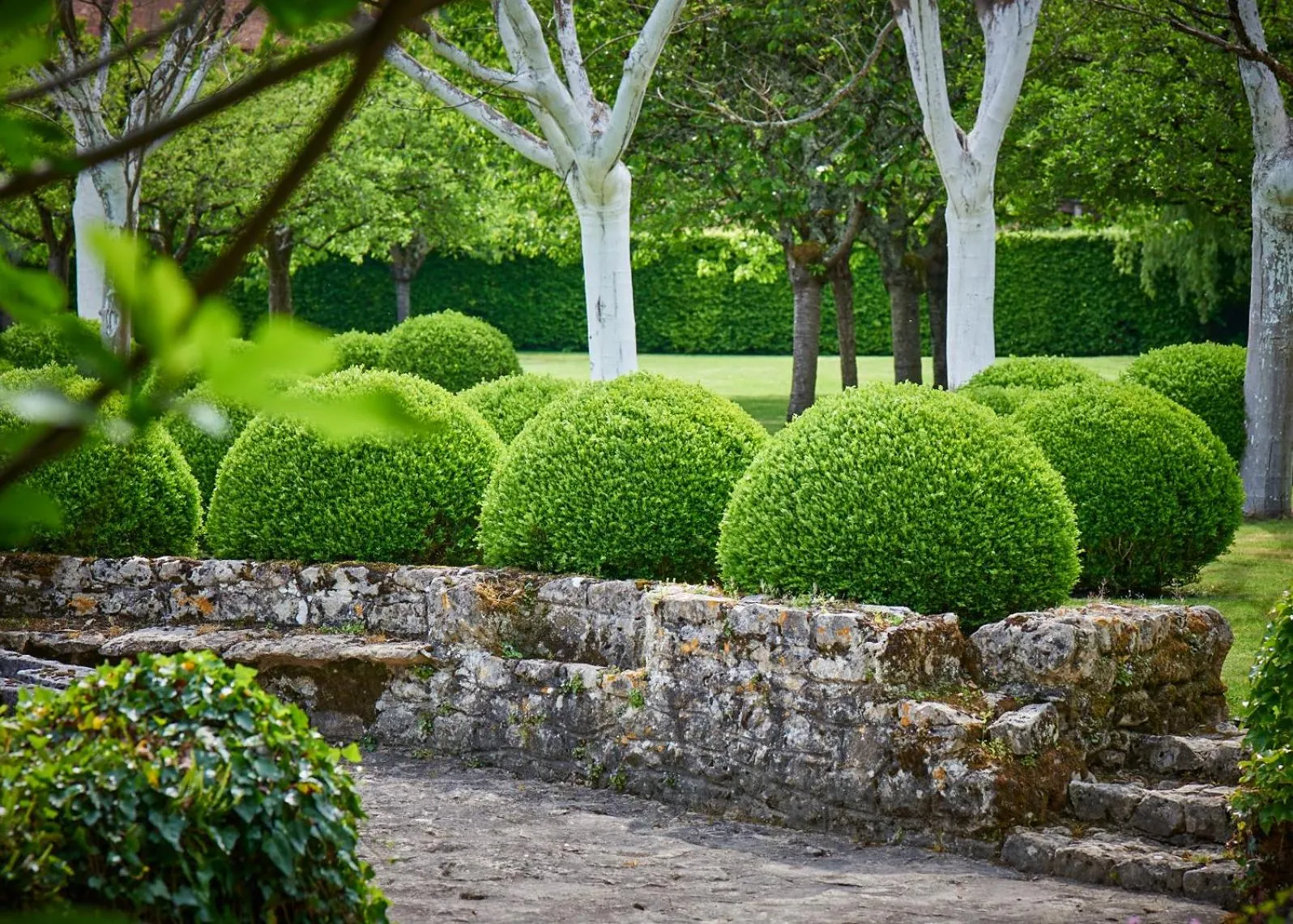 Garden in Le Vieux Logis