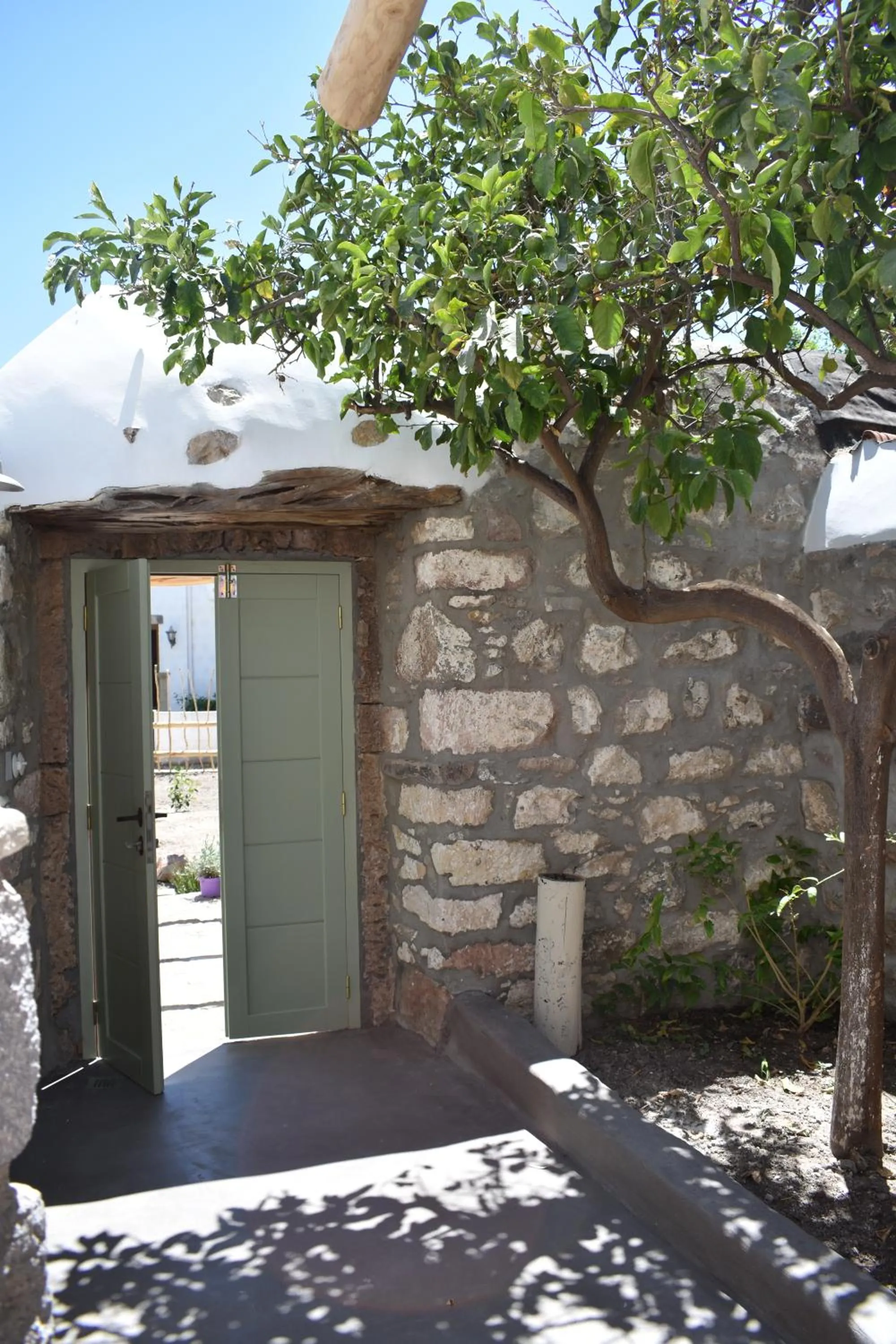 Garden in Latmos 1860