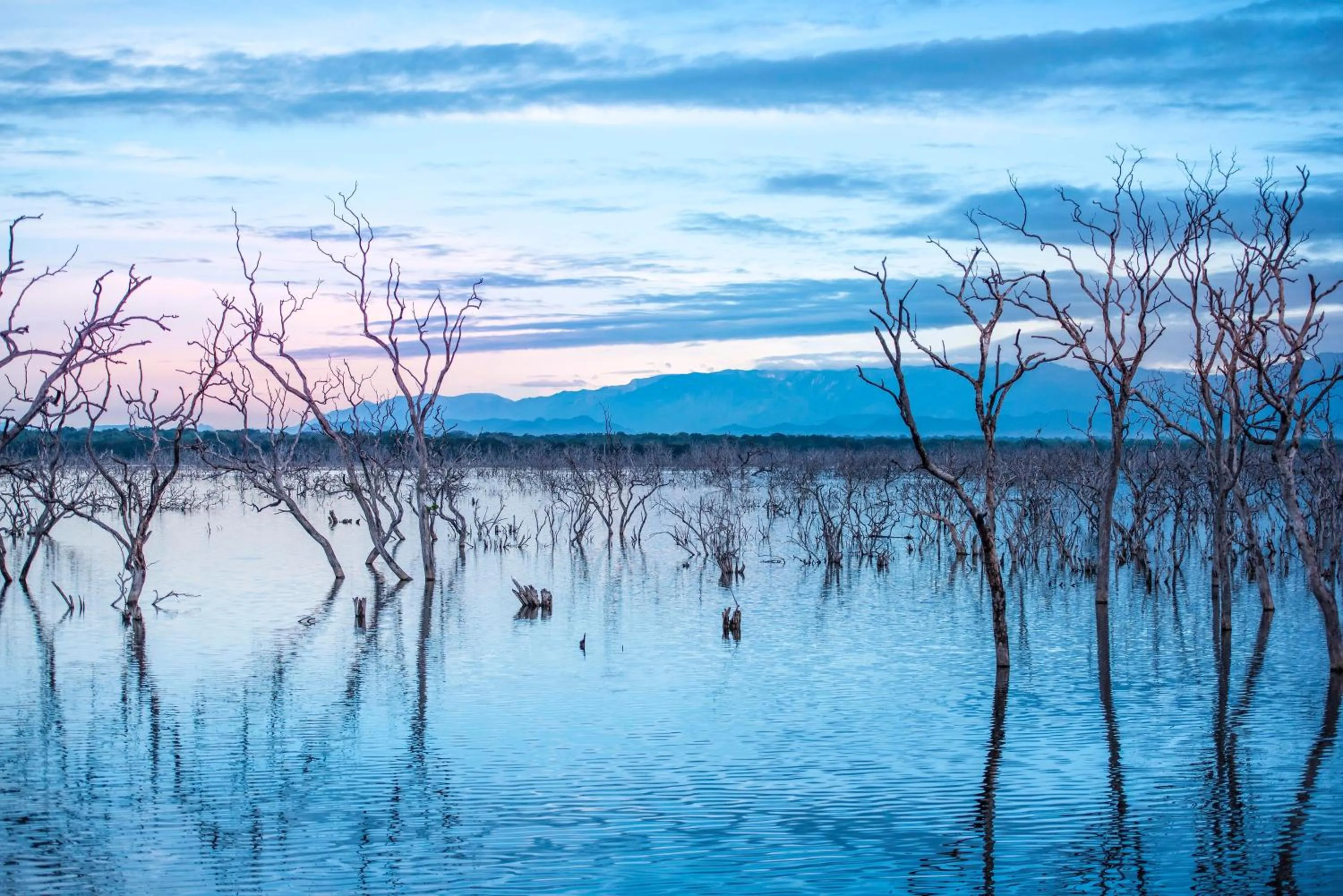 Natural landscape in Mandara Rosen Yala, Kataragama