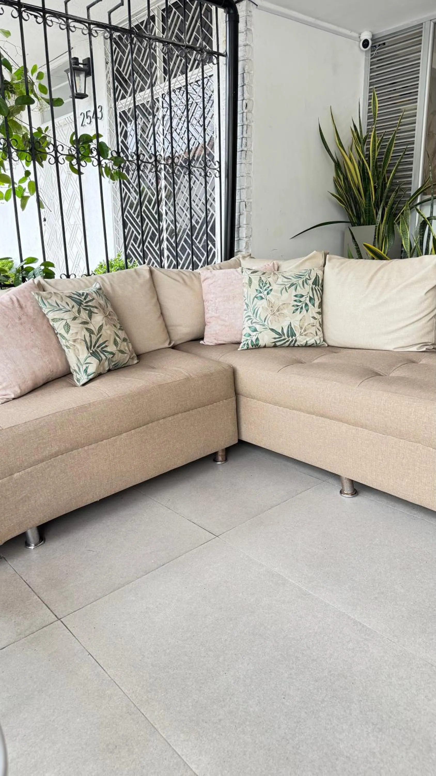 Area and facilities in Casa Roman Hotel Boutique