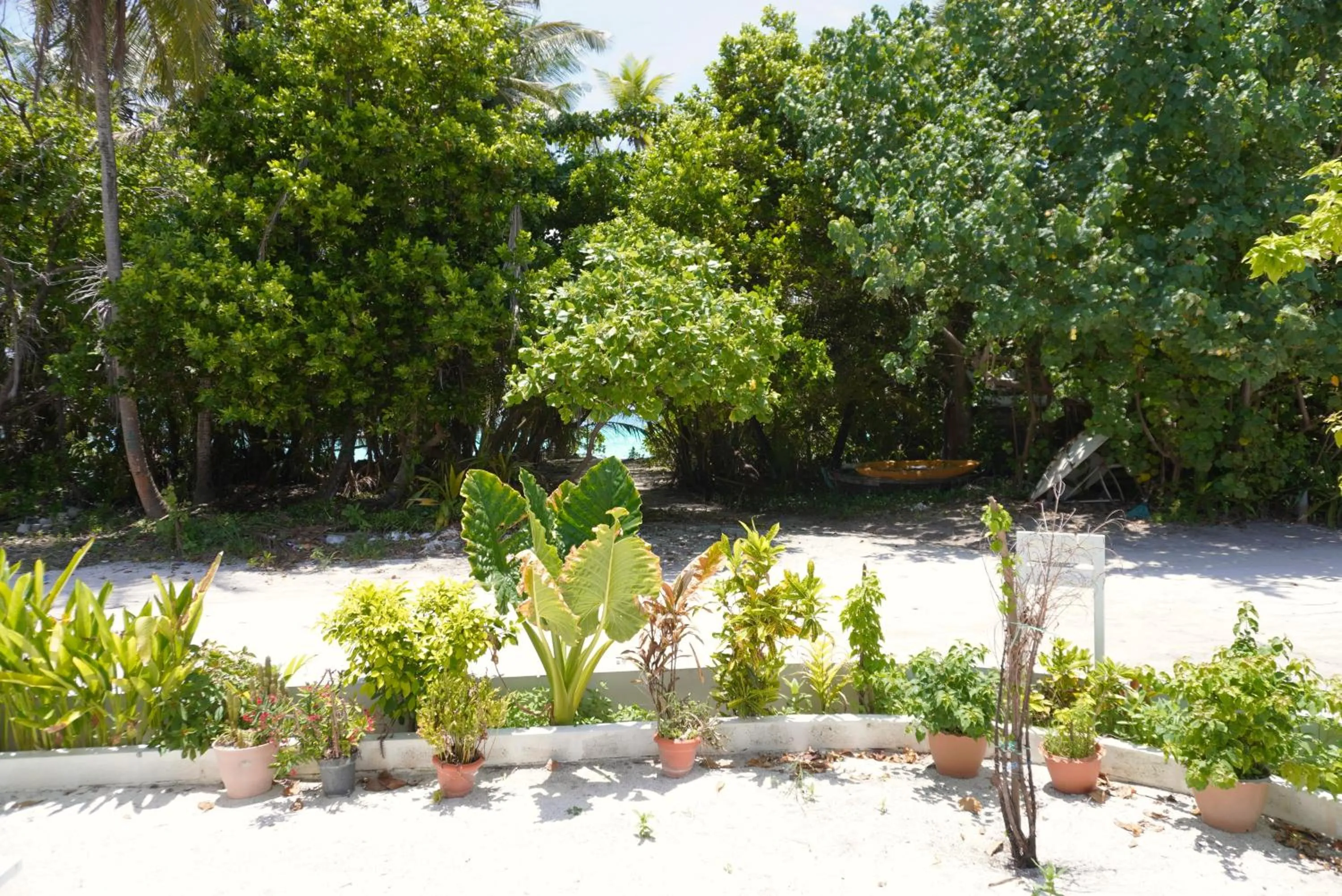 Garden in TME Retreats Dhigurah