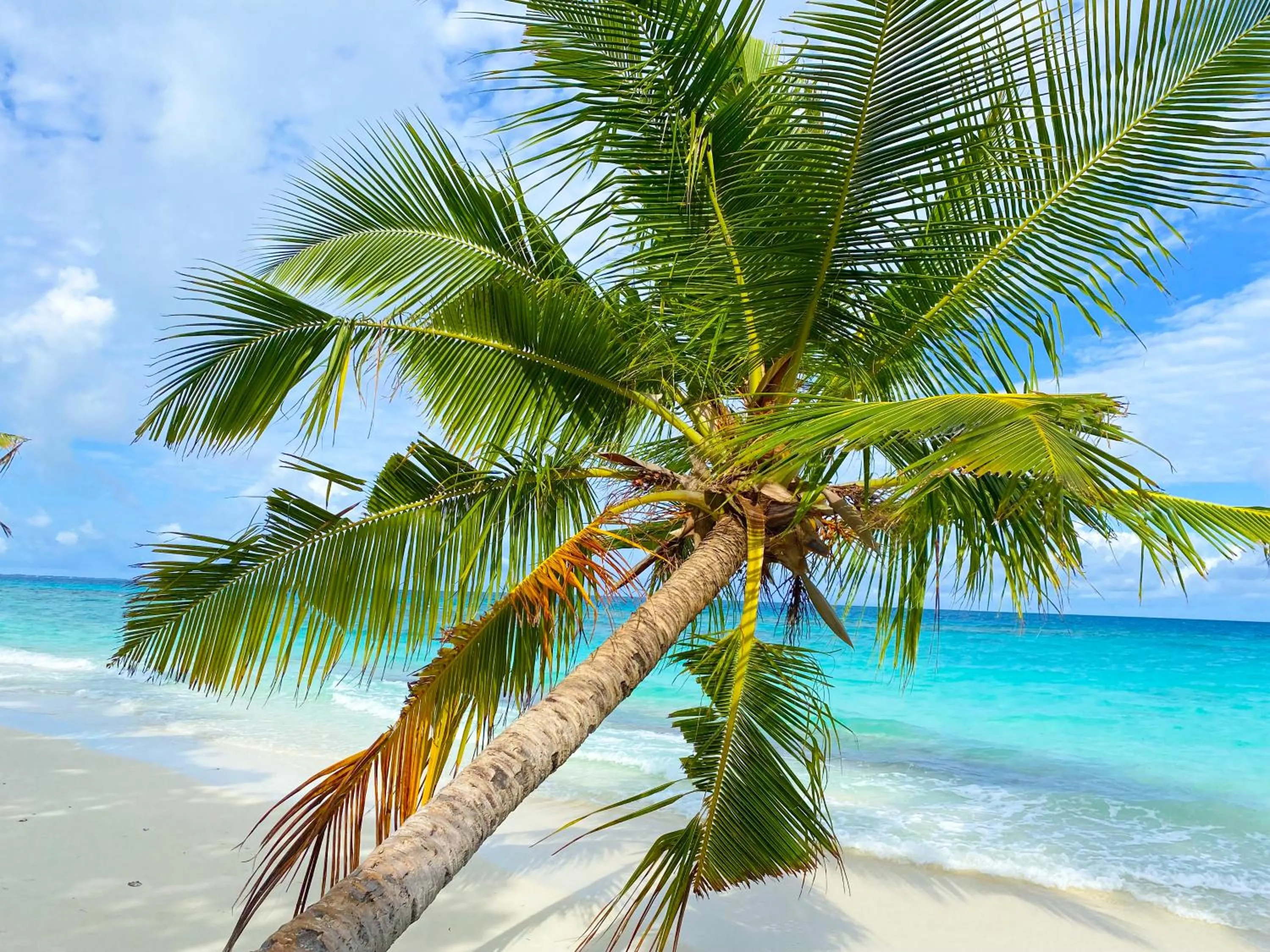 Beach in TME Retreats Dhigurah