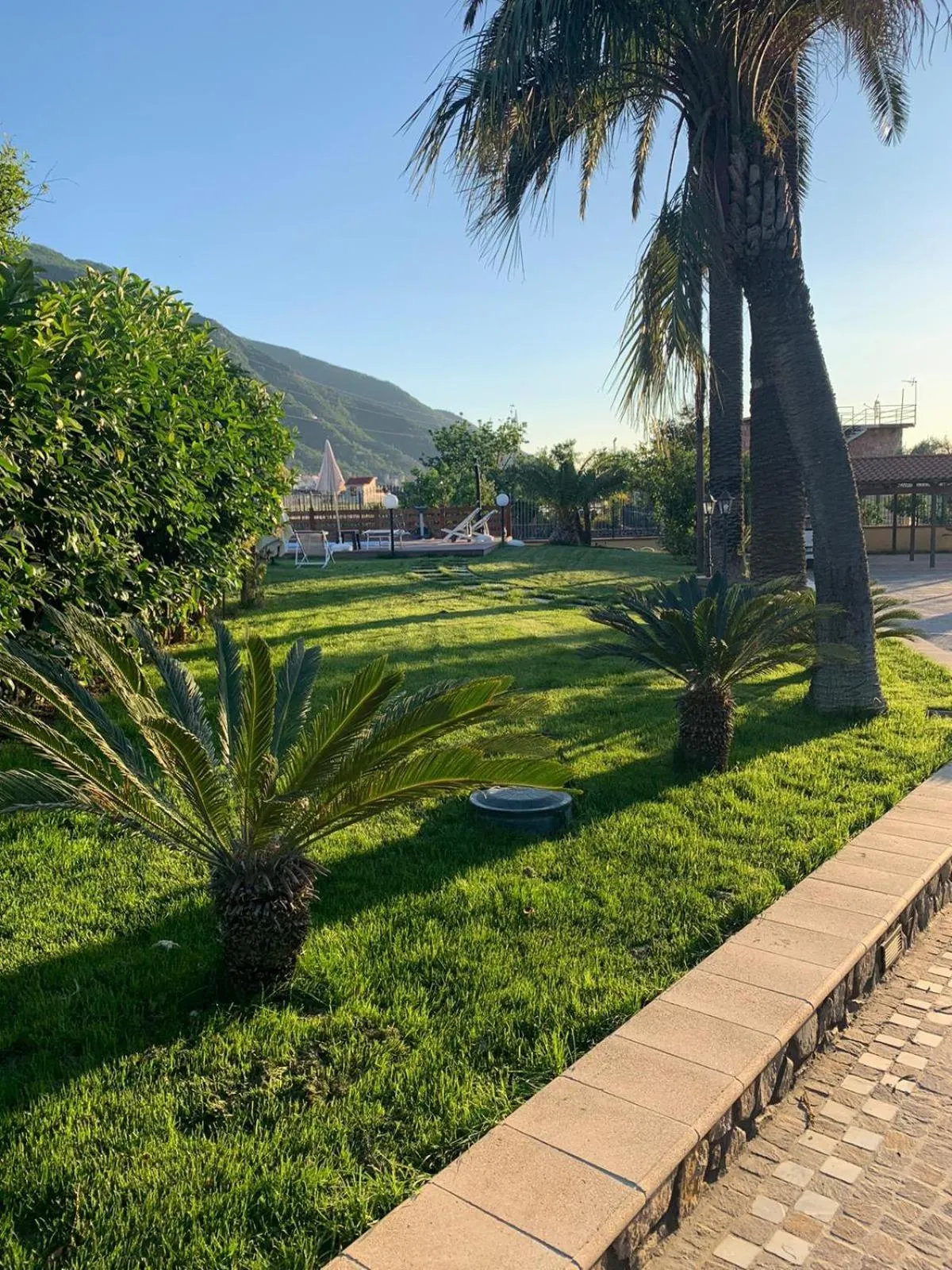 Garden in VILLA LUCIA