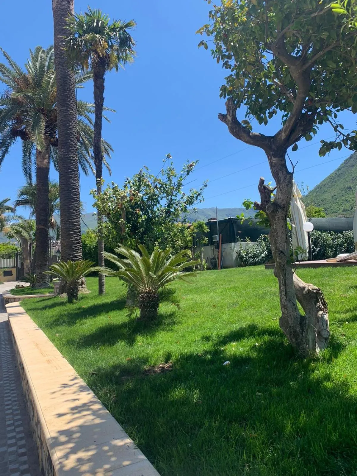 Garden in VILLA LUCIA