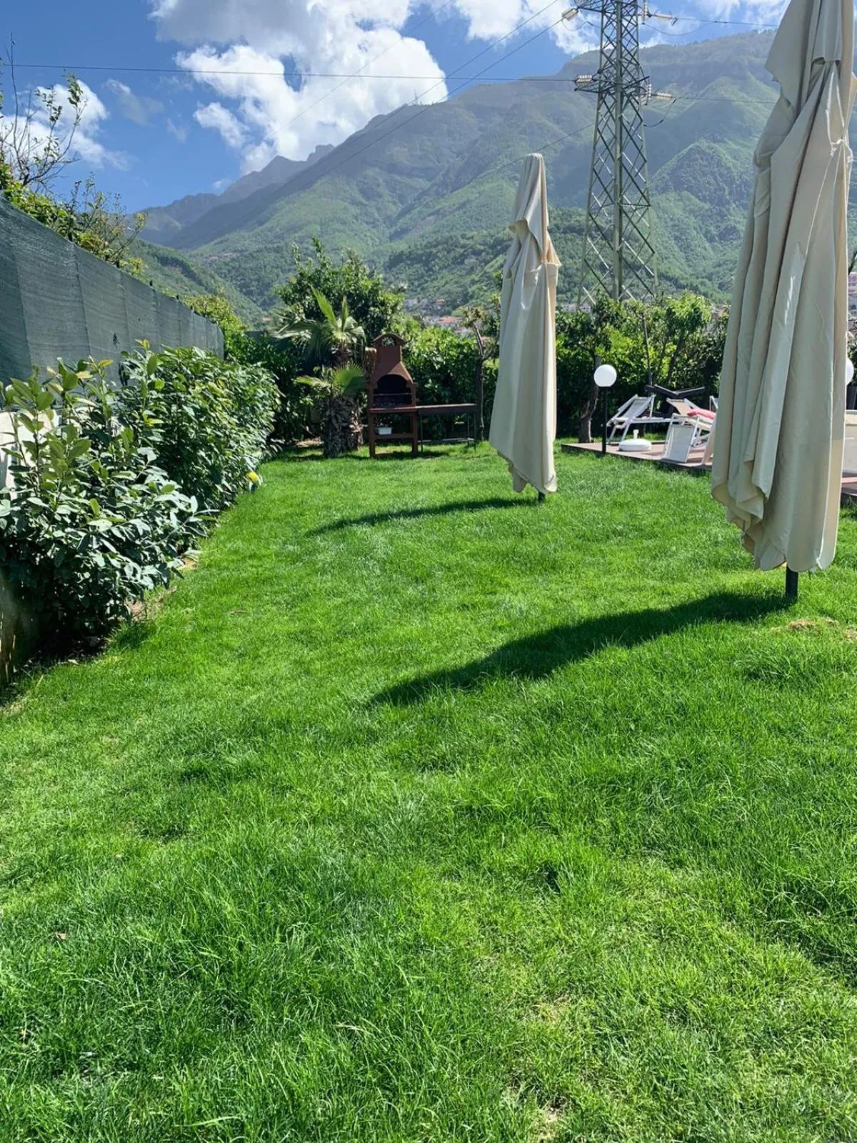 Garden in VILLA LUCIA