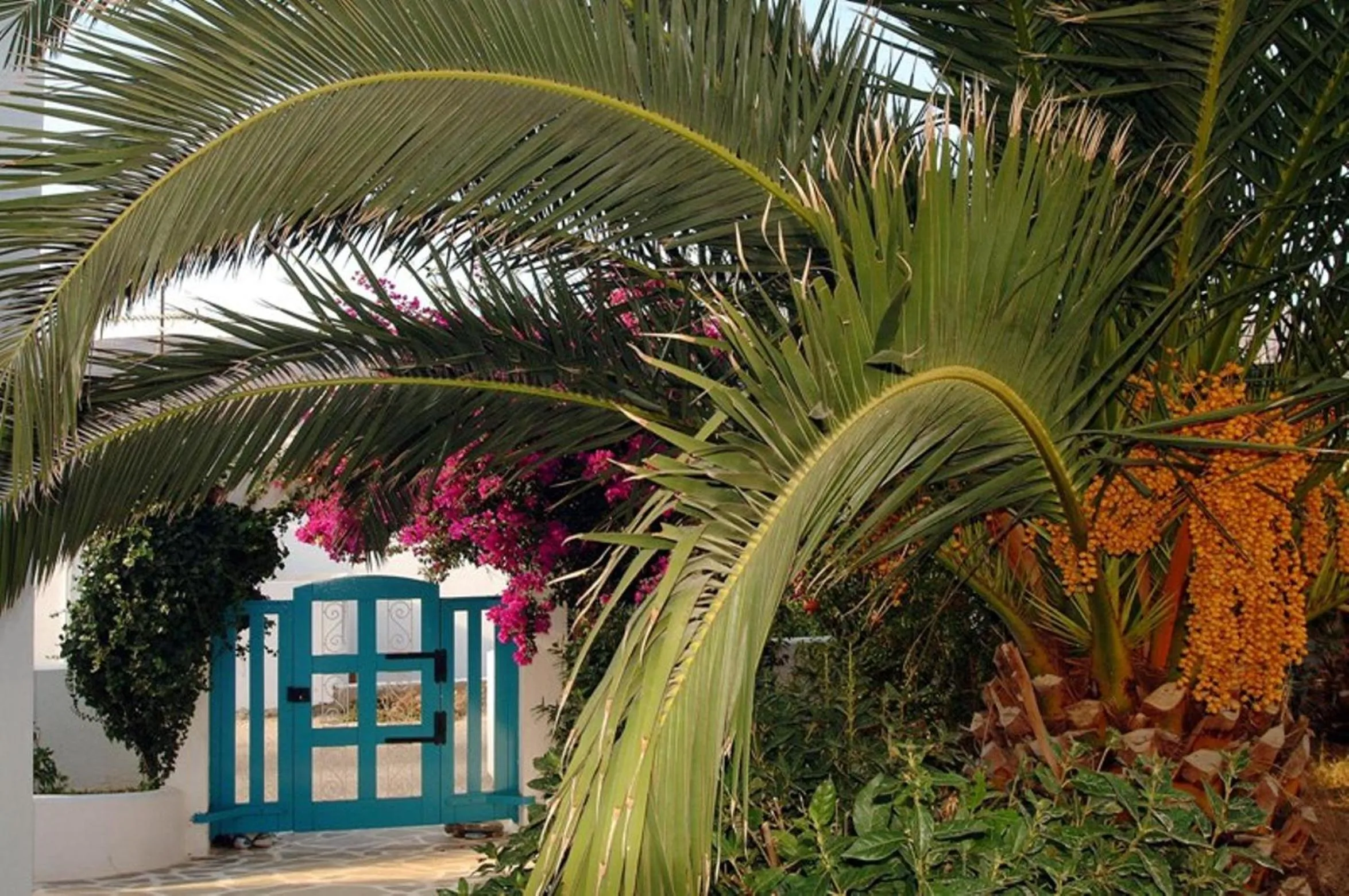 Gryspo's Hotel