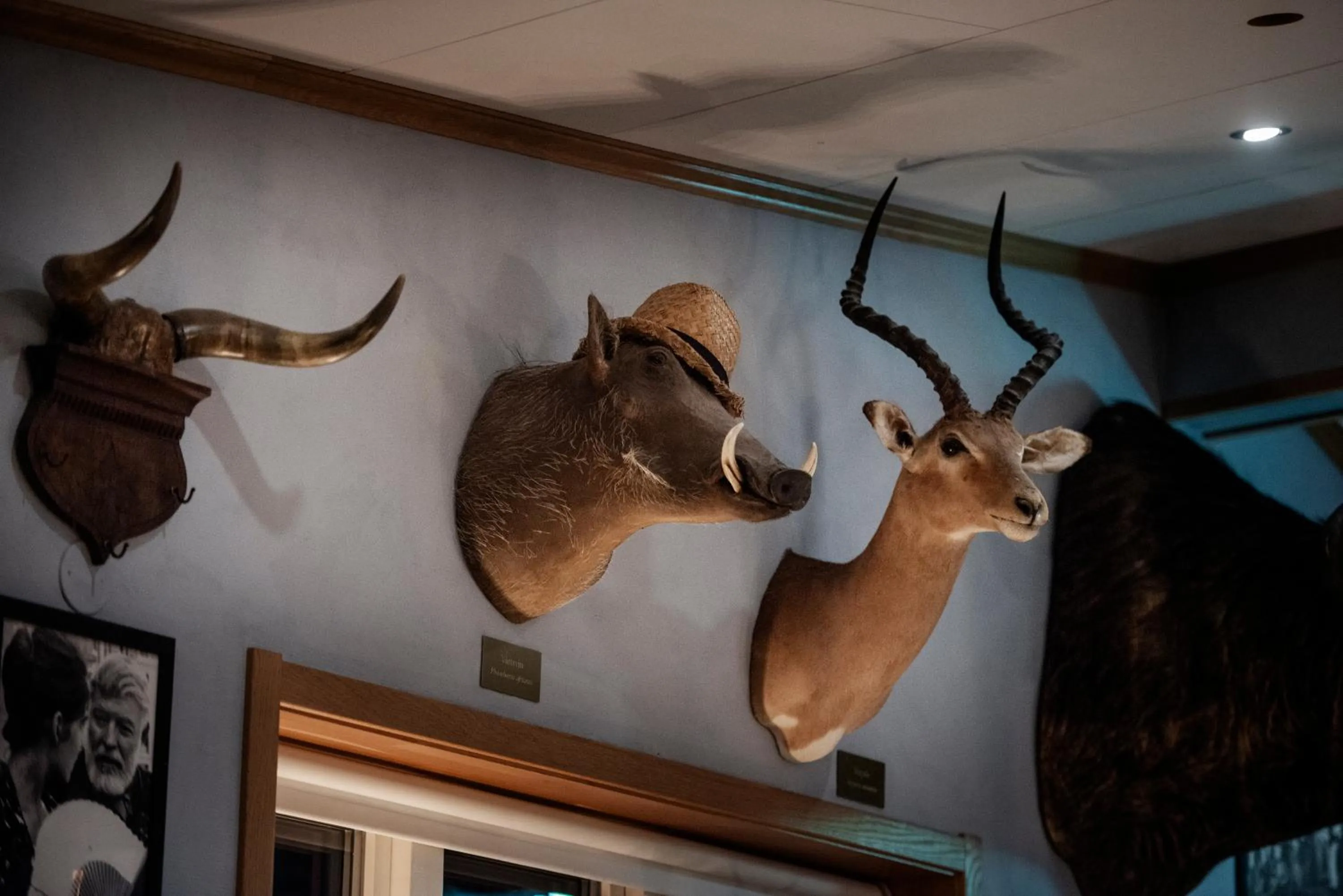 Decorative detail in Hotell Havanna