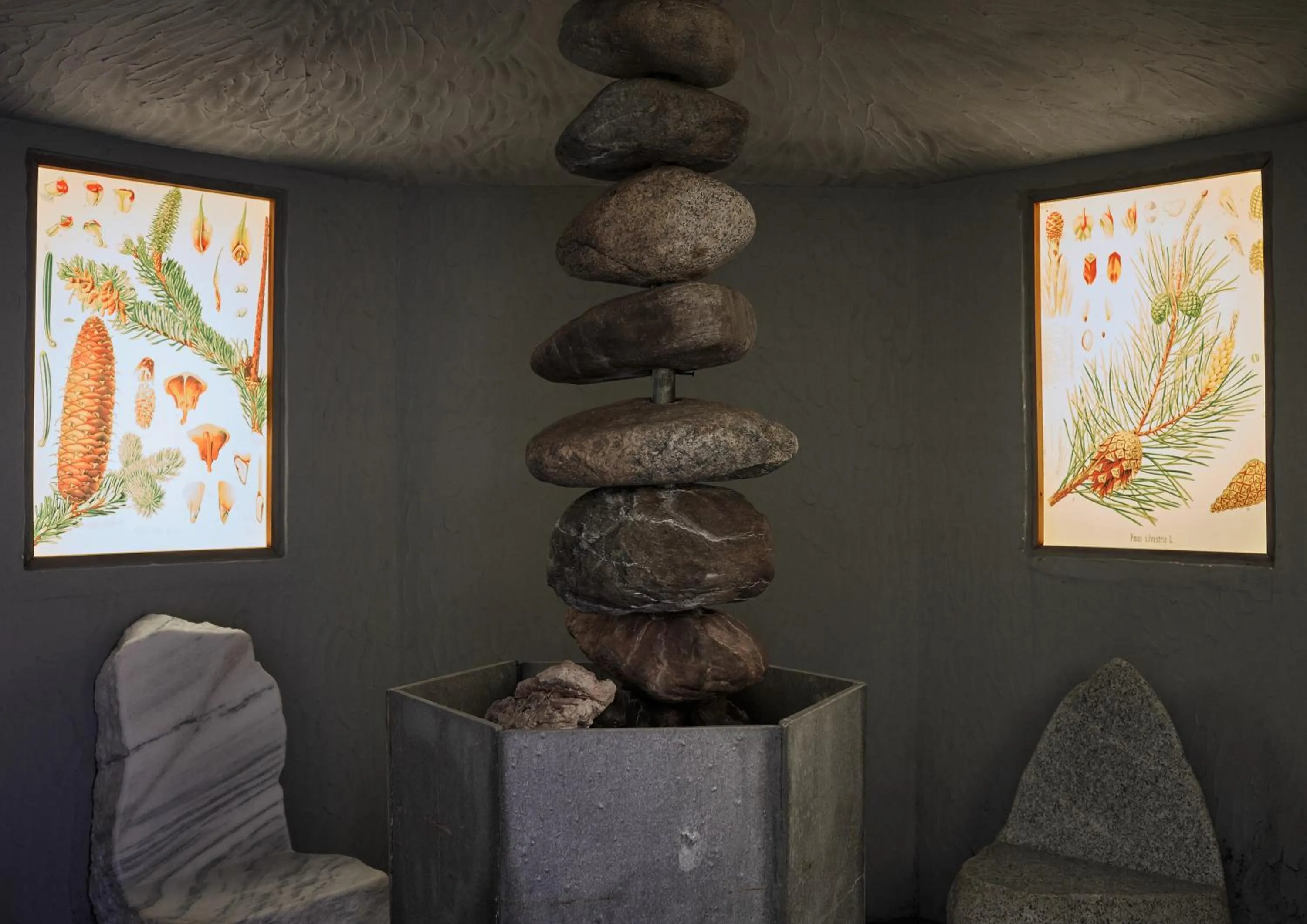 Sauna in Arosea Life Balance Hotel