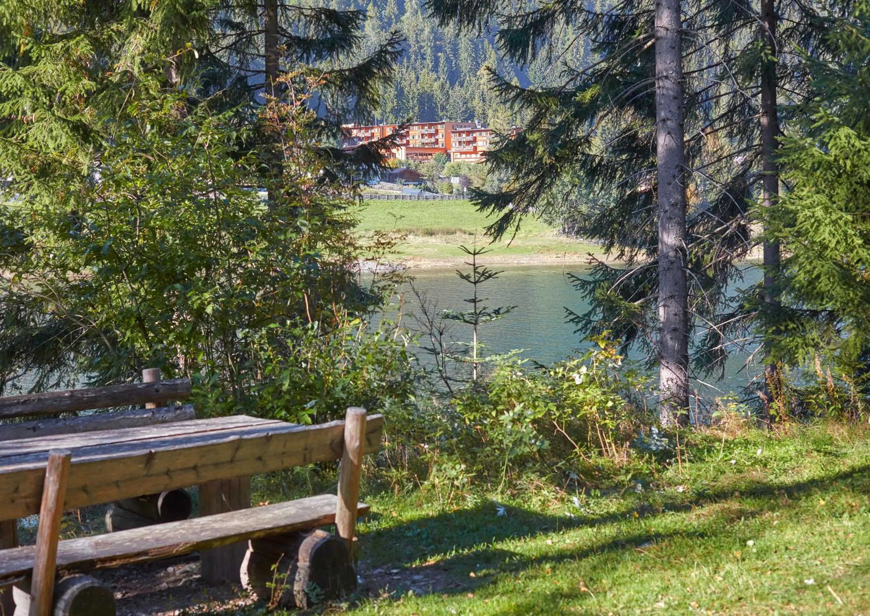 Natural landscape in Arosea Life Balance Hotel