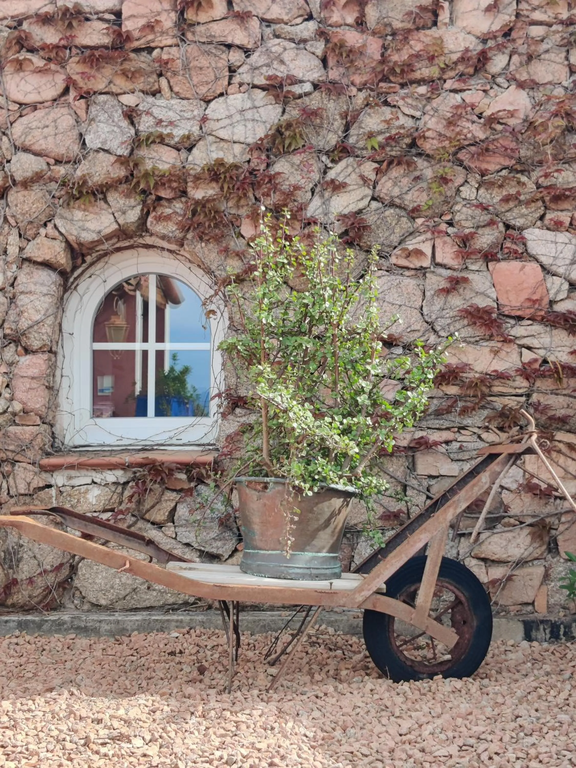 Garden in Le Roc E Fiori Hotel - Teritoria