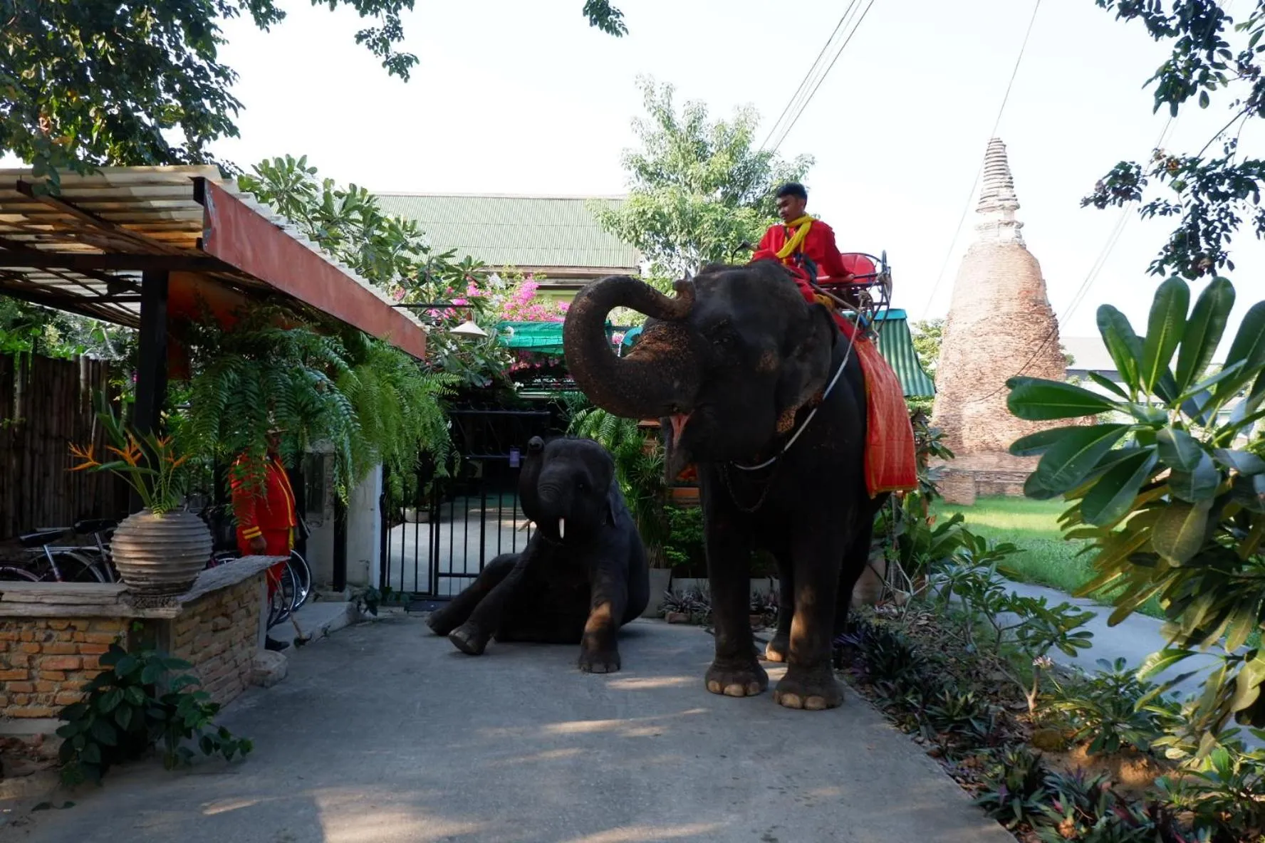Animals in The Park Ayutthaya Resort And Spa