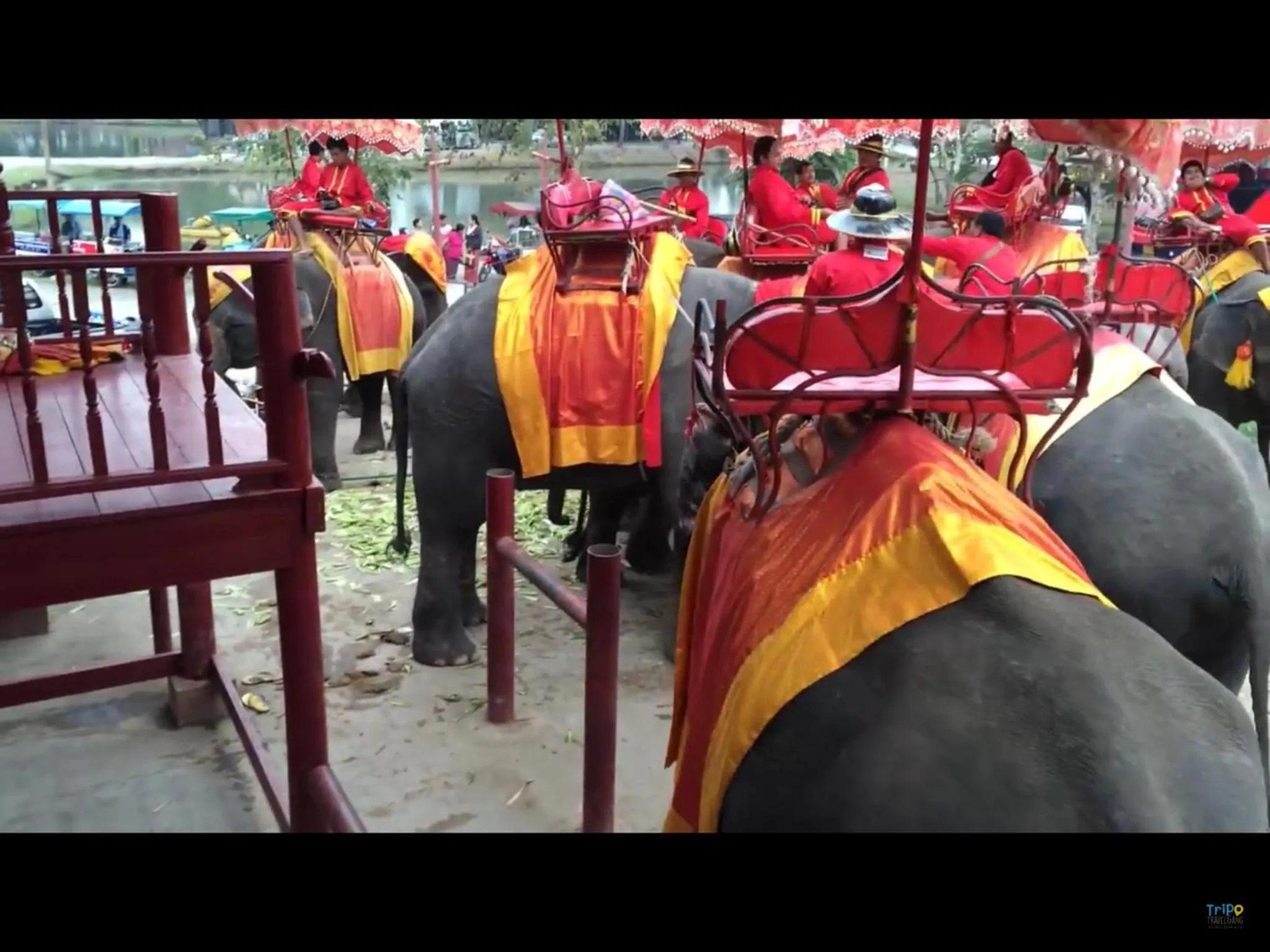 Entertainment in The Park Ayutthaya Resort And Spa
