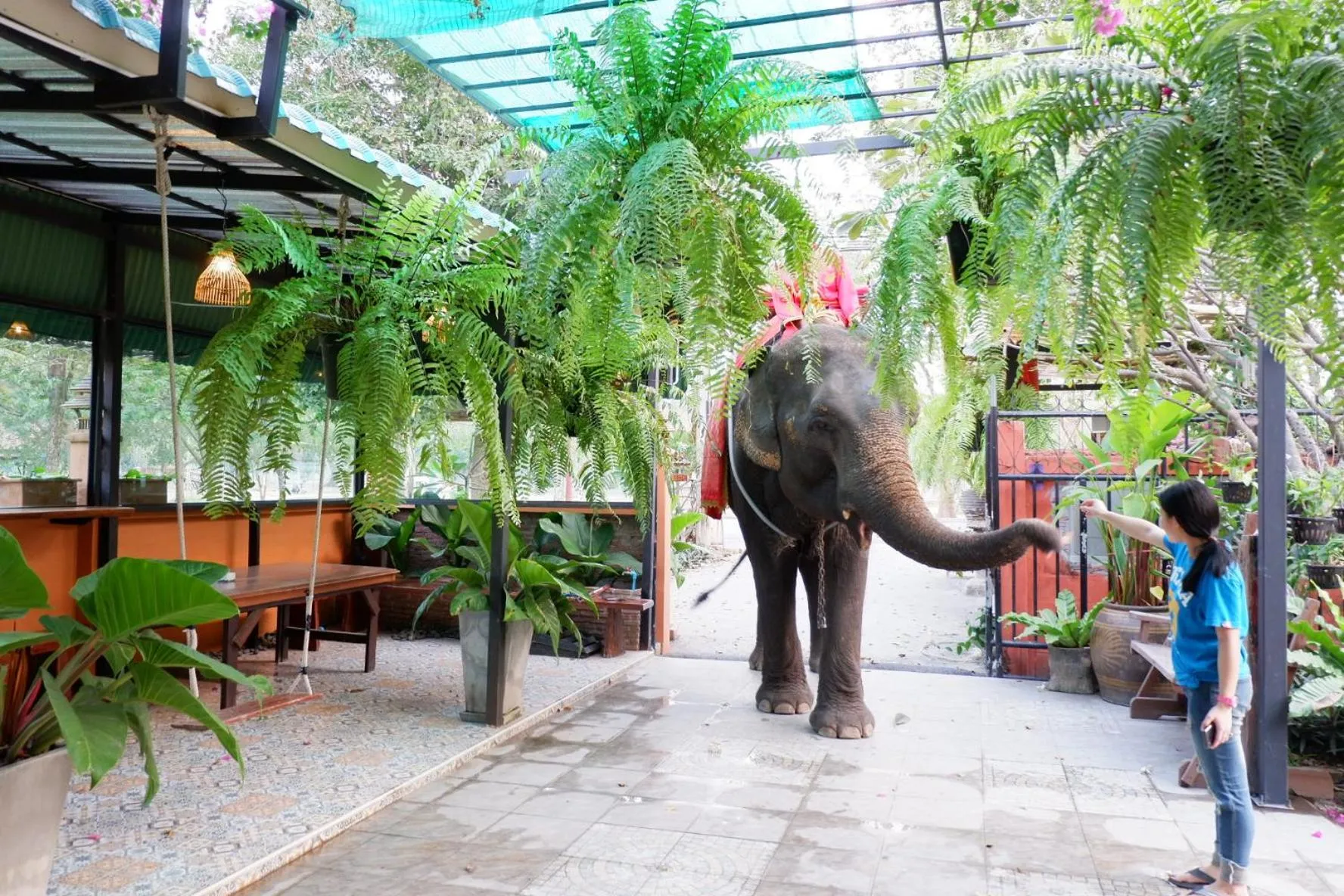 Natural landscape in The Park Ayutthaya Resort And Spa