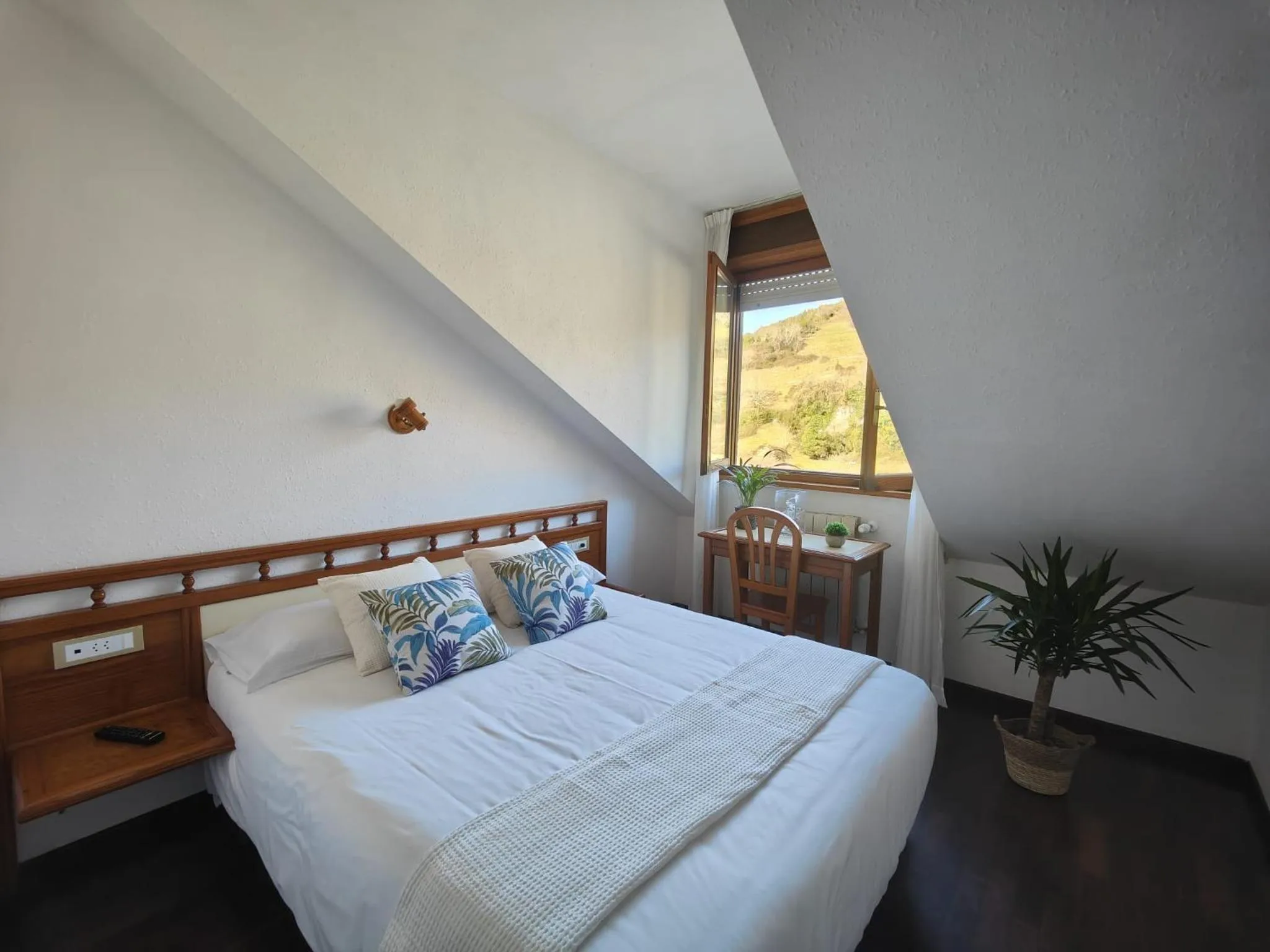 Mountain view in Hotel Capitán