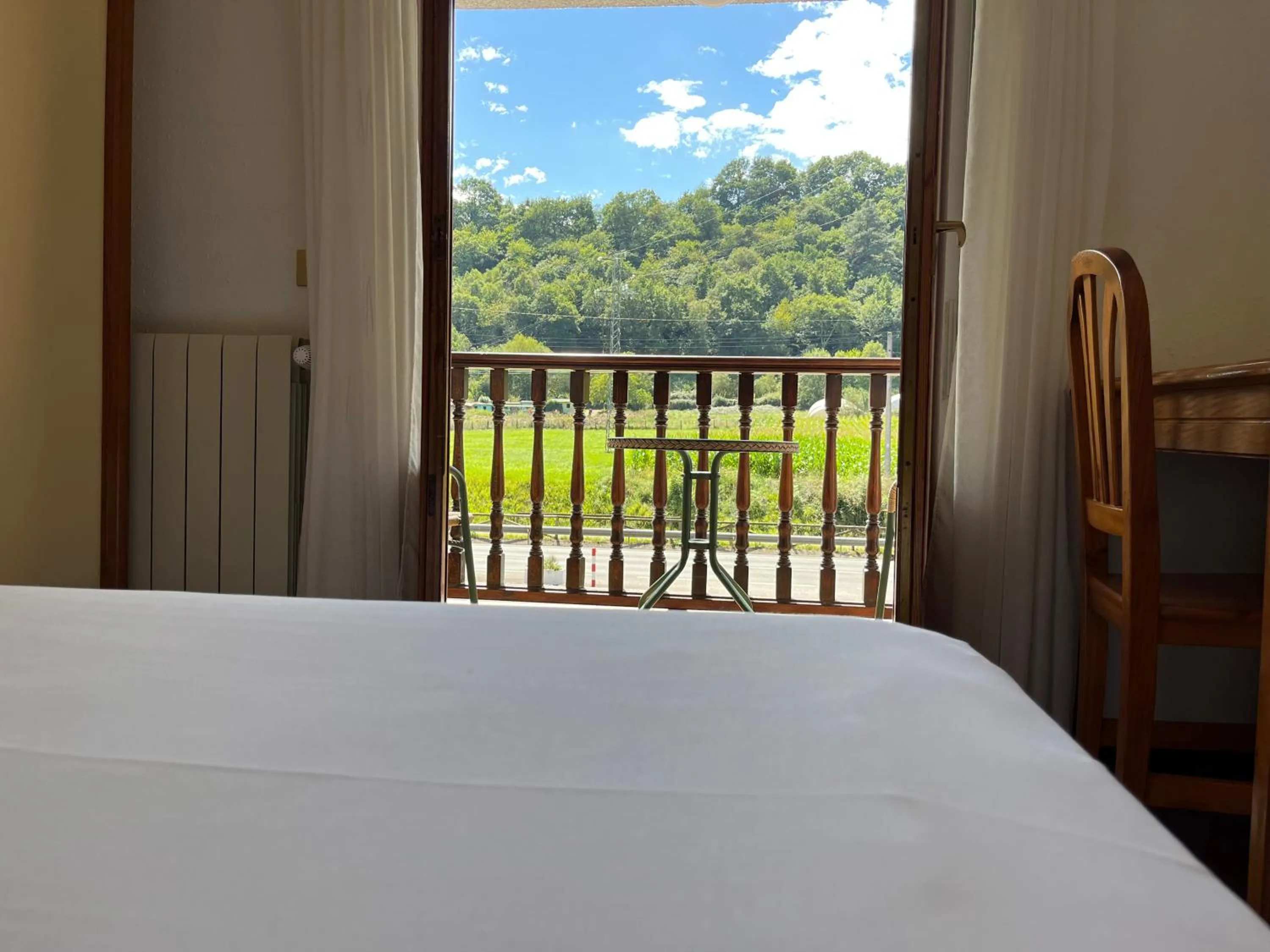 Balcony/Terrace in Hotel Capitán