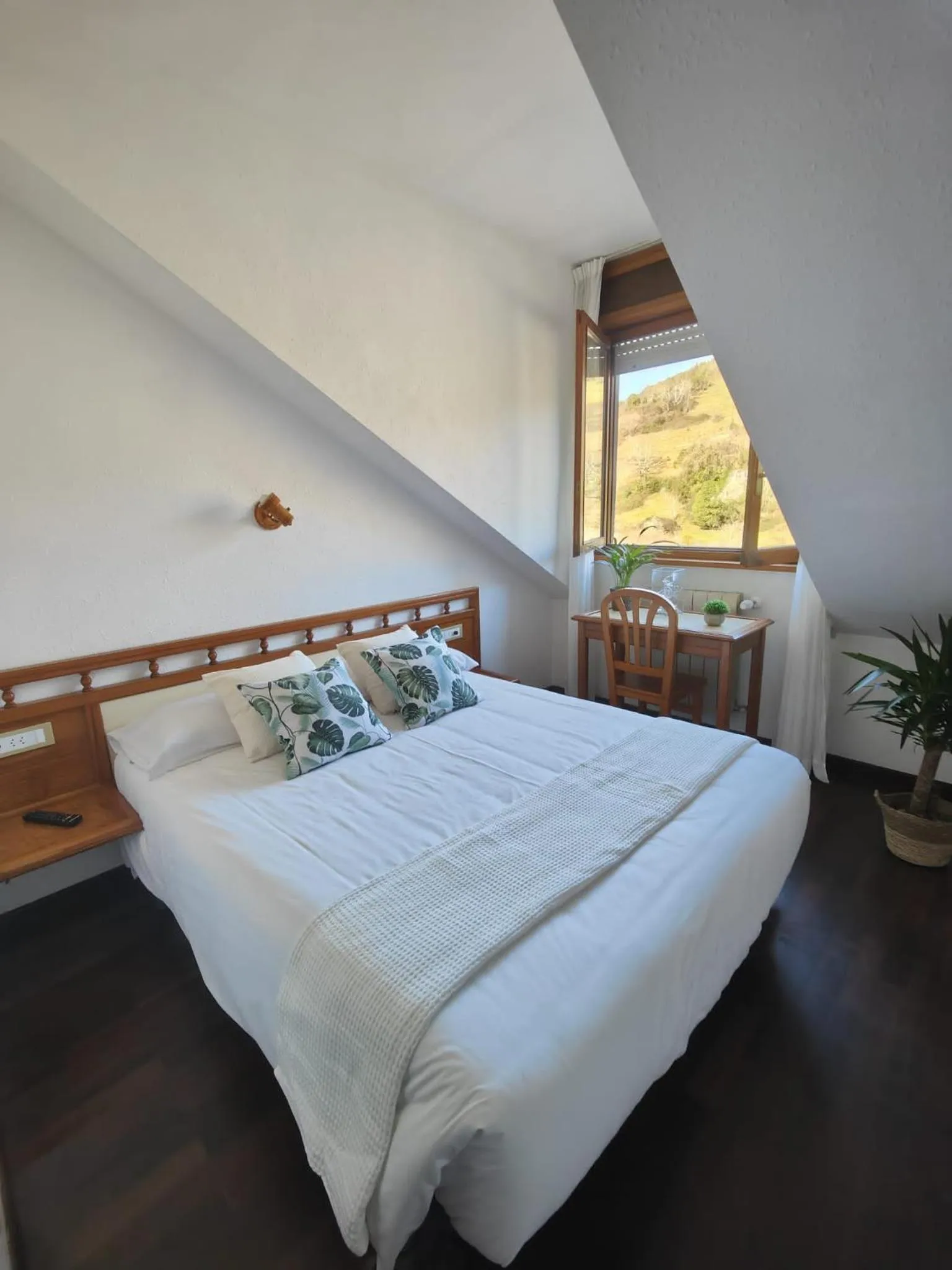 Mountain view in Hotel Capitán