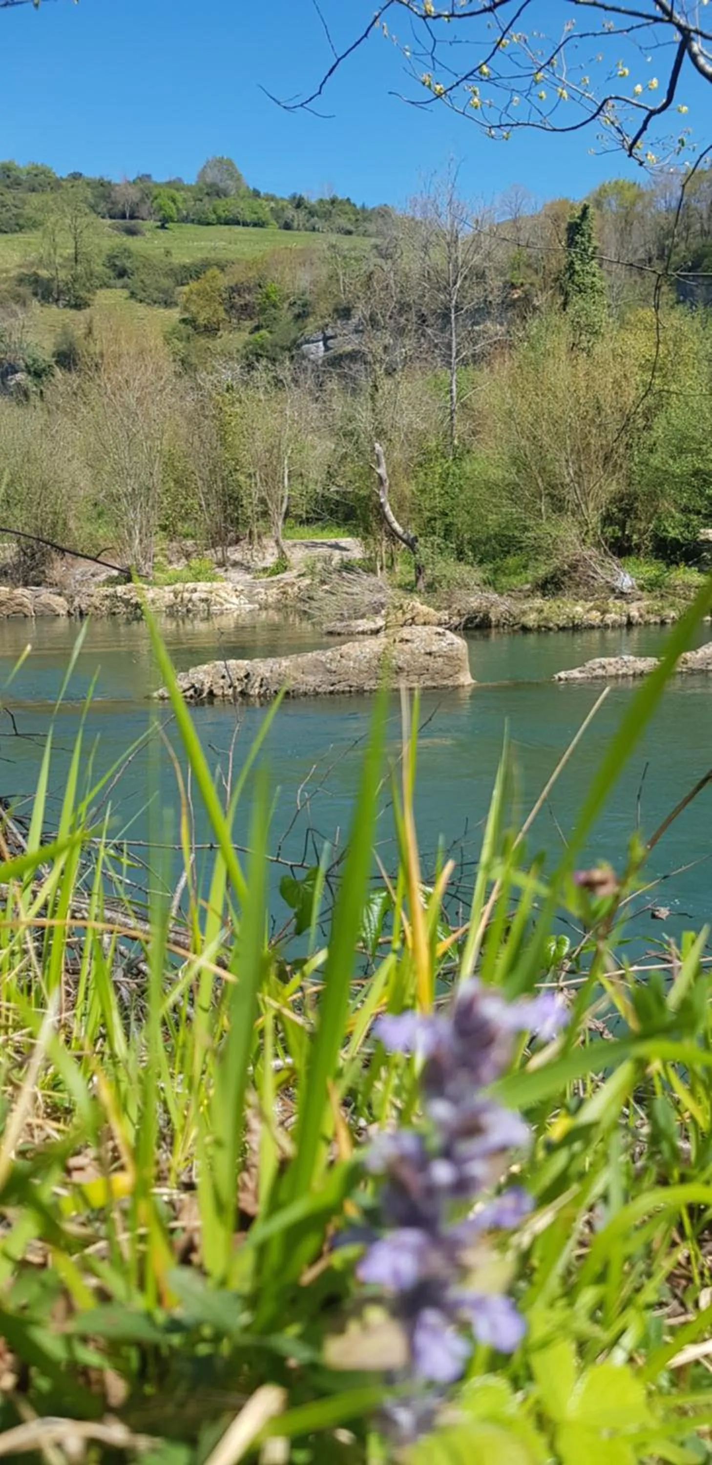 Natural landscape in Hotel Capitán