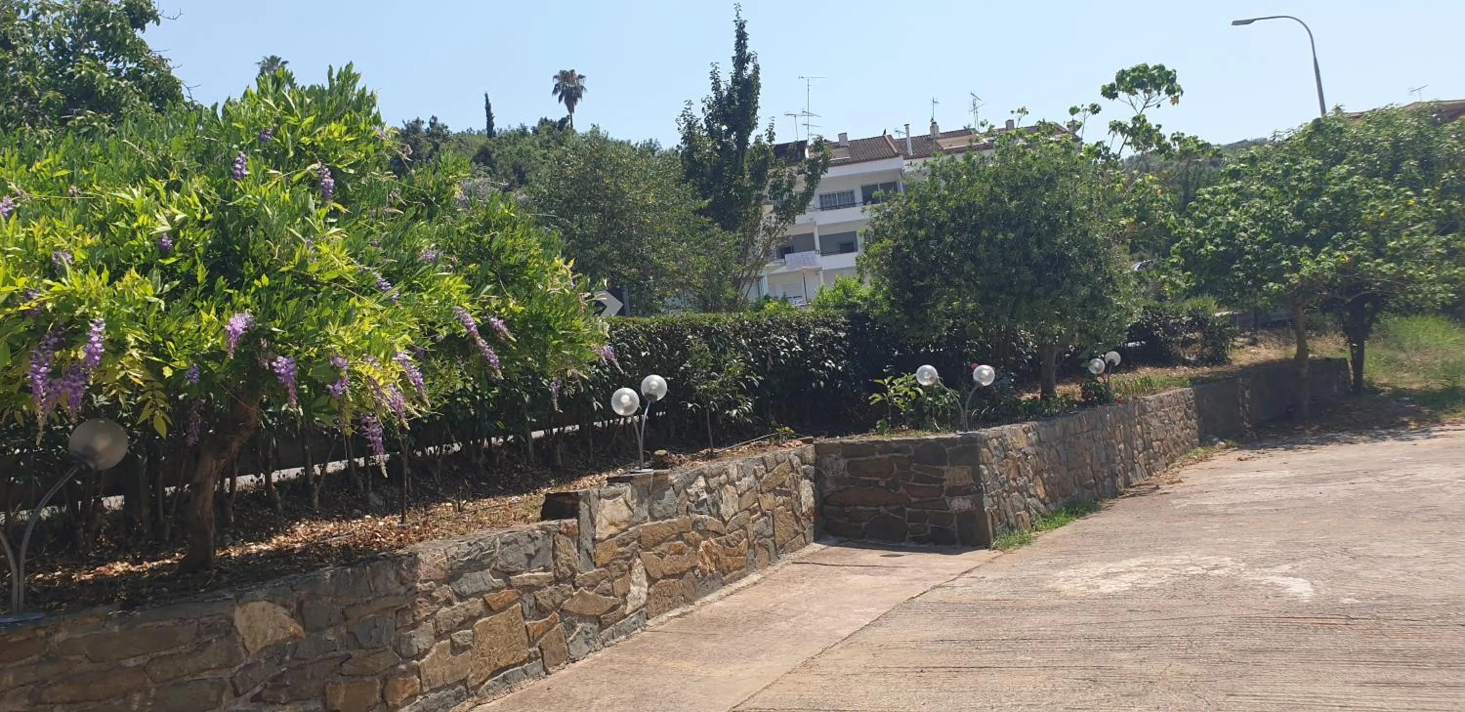 Delfini Hotel