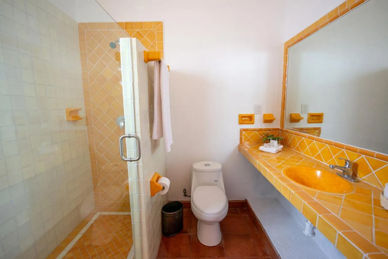 Toilet in Hotel Camino Antiguo