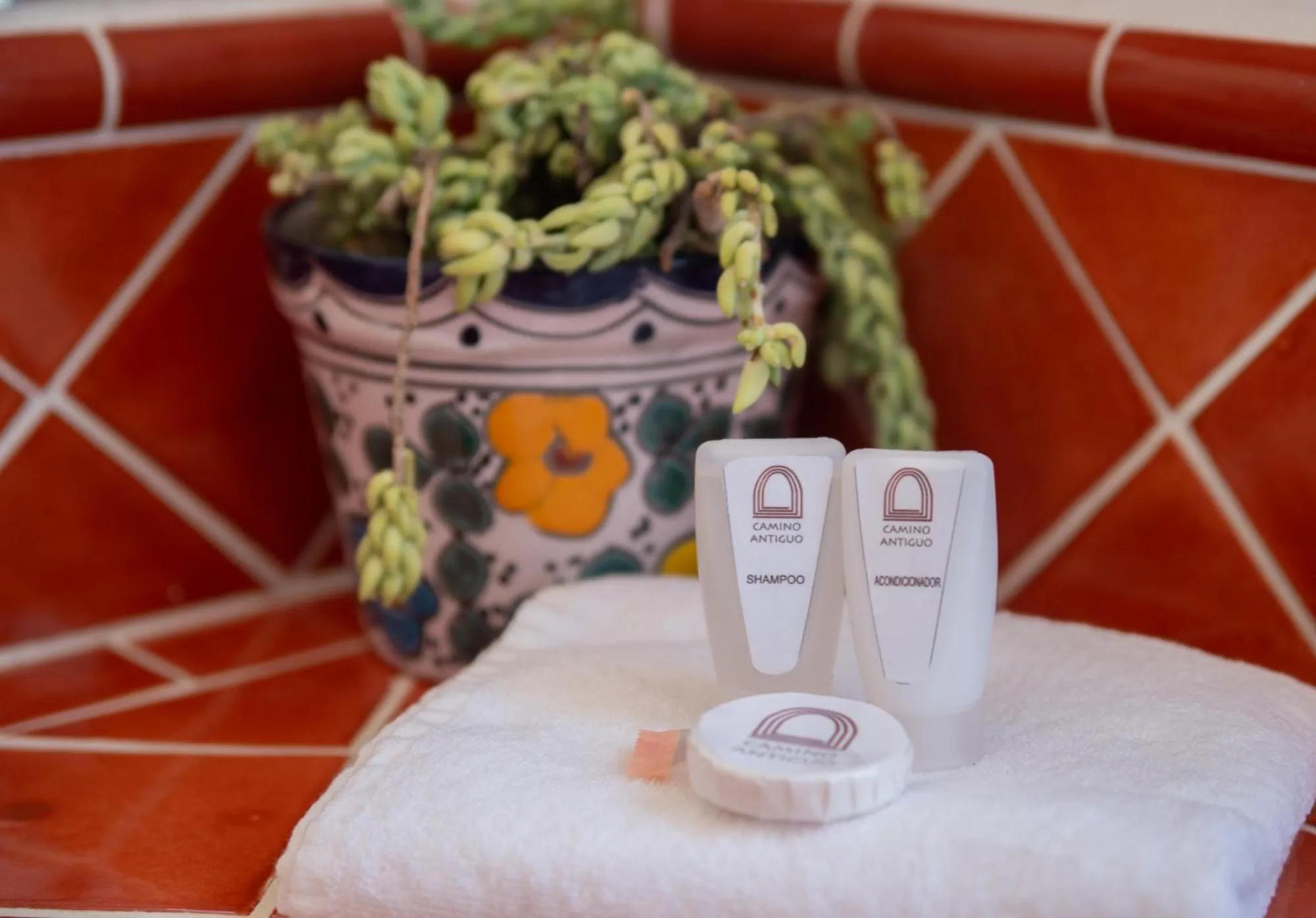 Other in Hotel Camino Antiguo