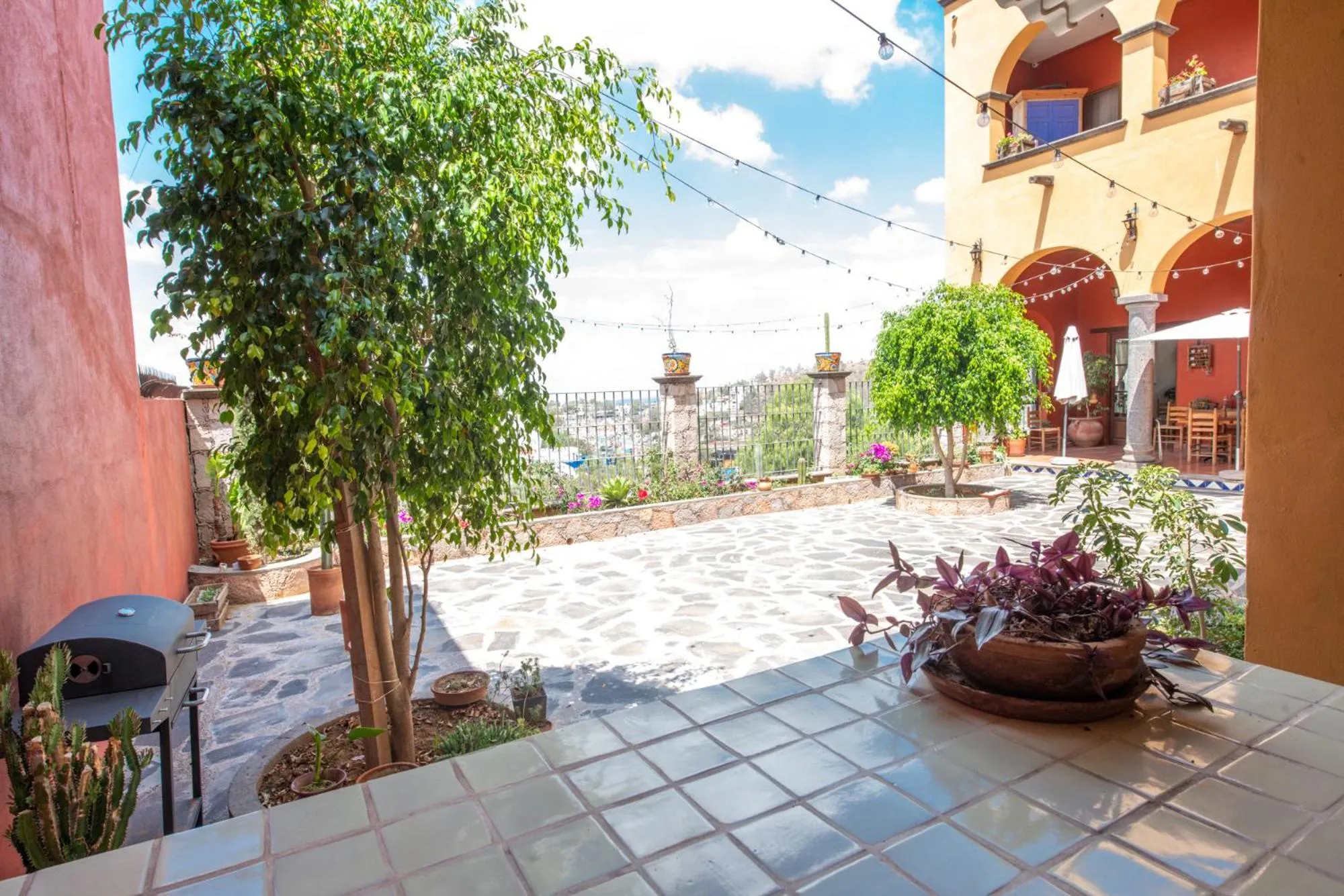 Garden in Hotel Camino Antiguo
